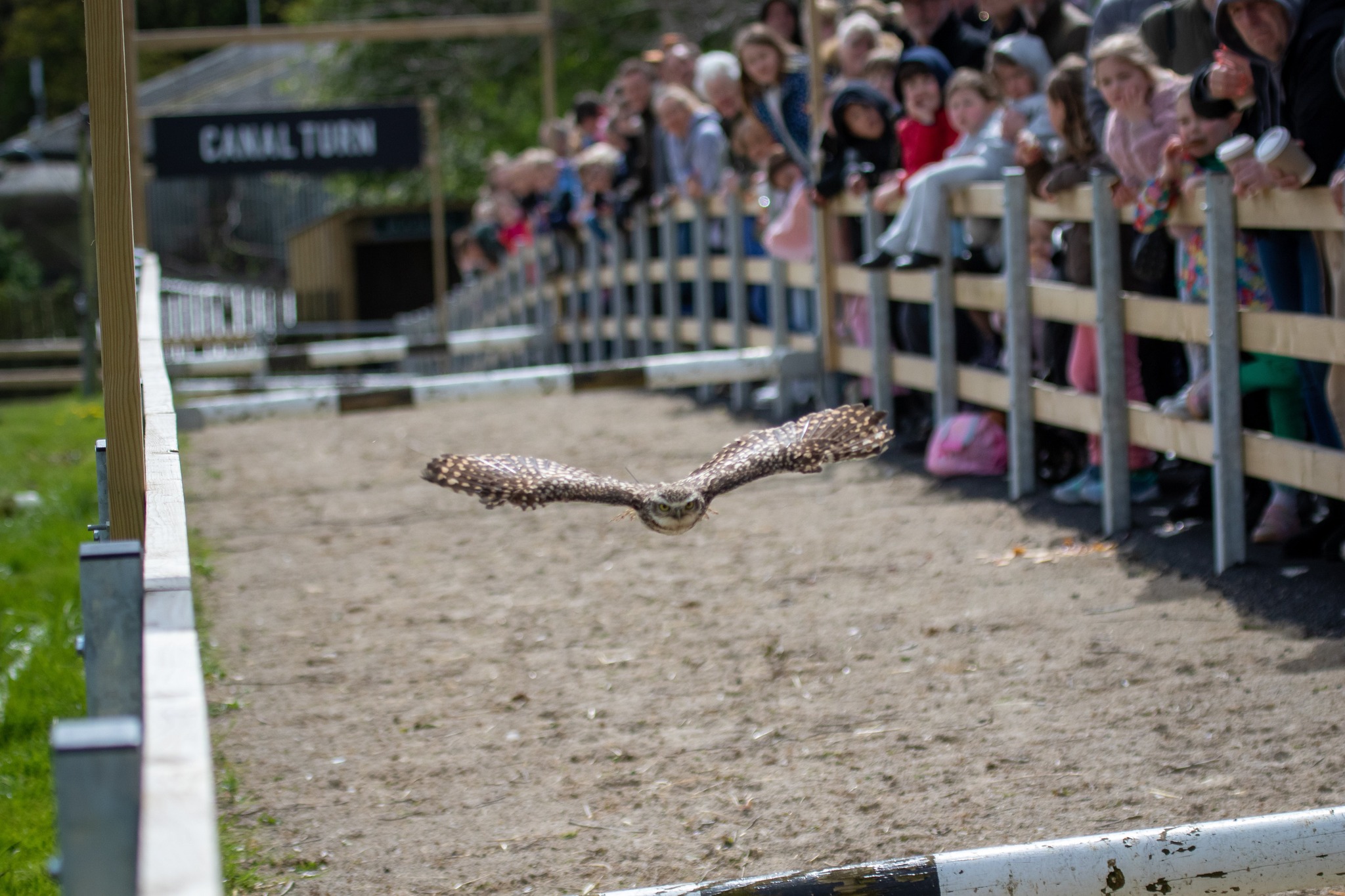 Cannon Hall Farm