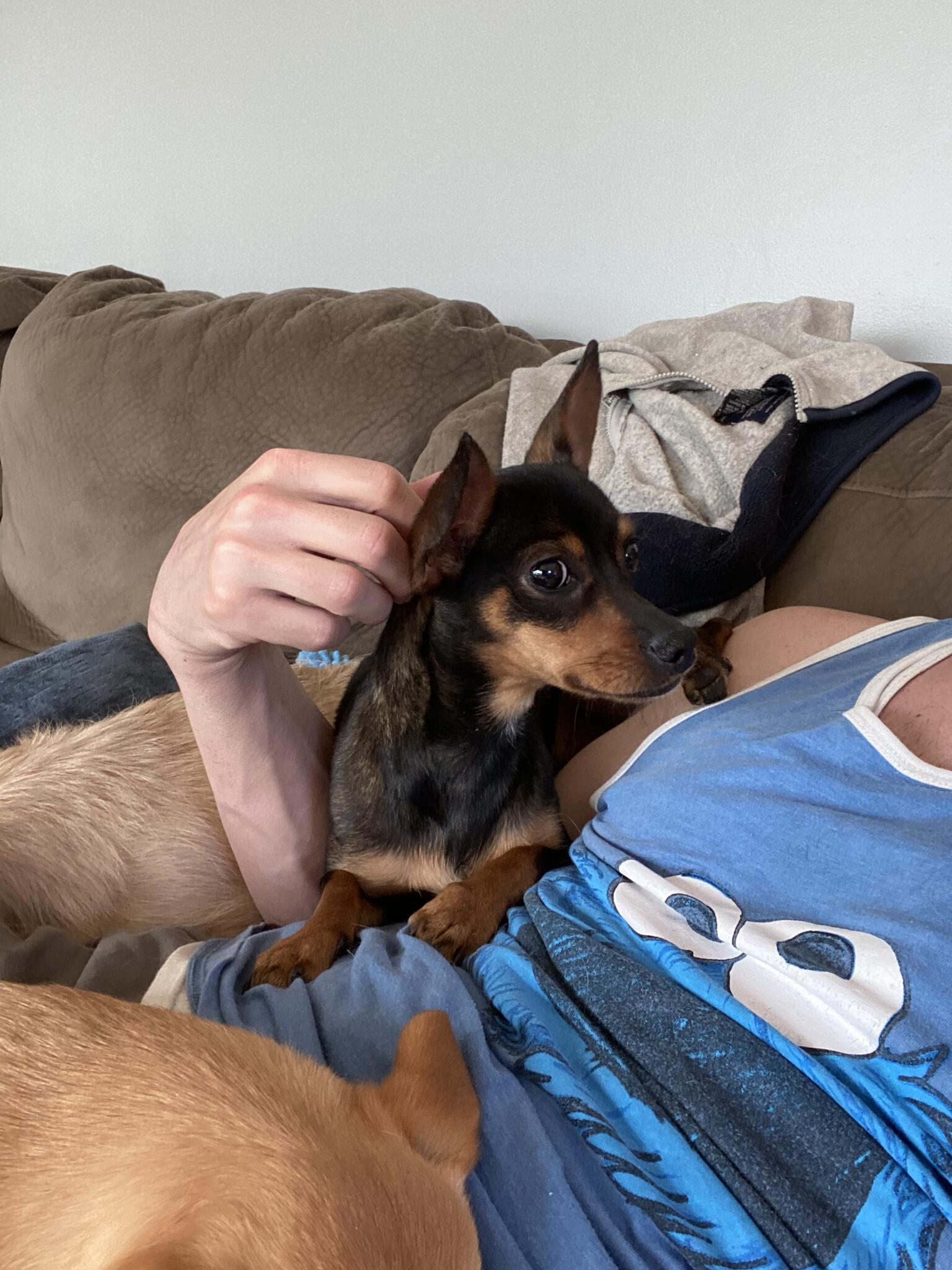 Photo credit: nextdoor