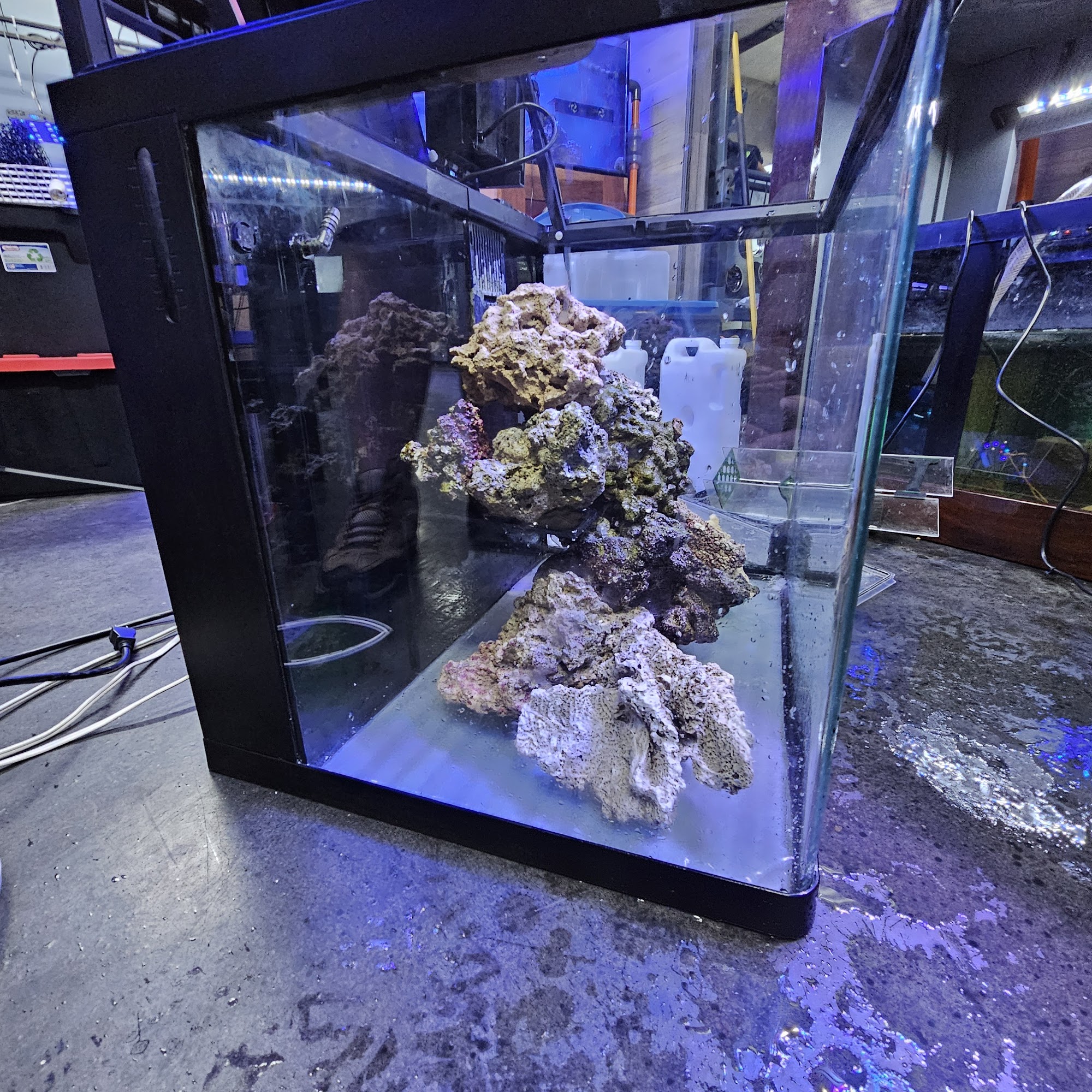 7 Seas Aquatics LLC Madison