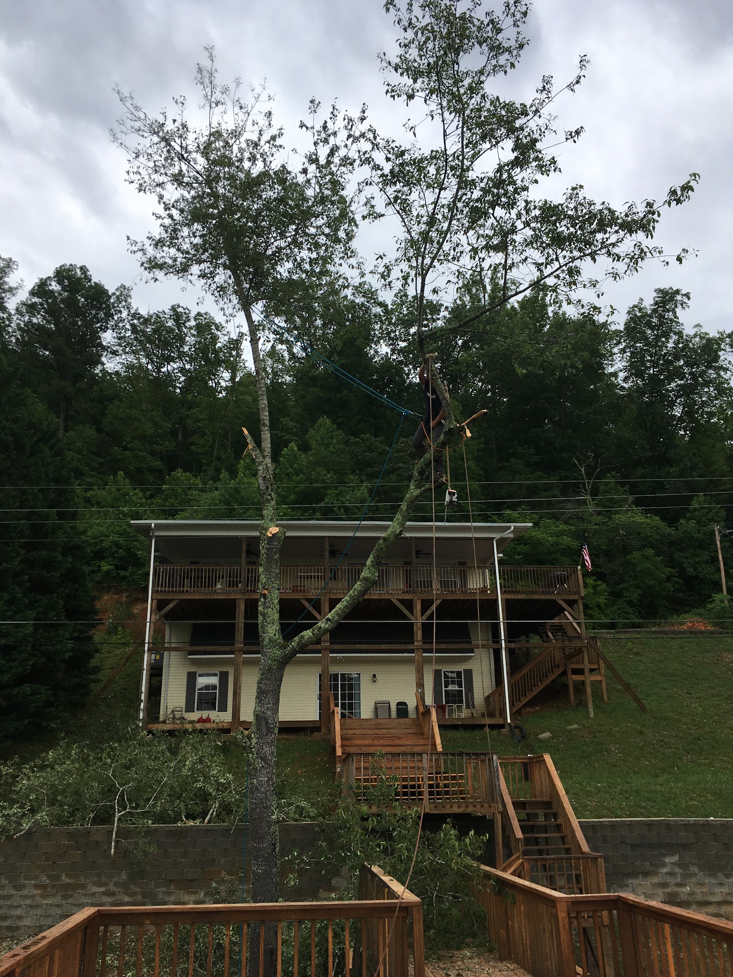 Horton Excavating & Tree Service 1450 Post Oak Valley Rd, Rockwood Tennessee 37854