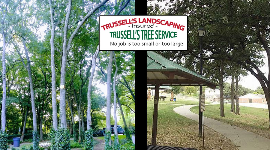 Trussell's Landscaping and Tree Service, LLC 609 W Atchley Dr, Alvarado Texas 76009