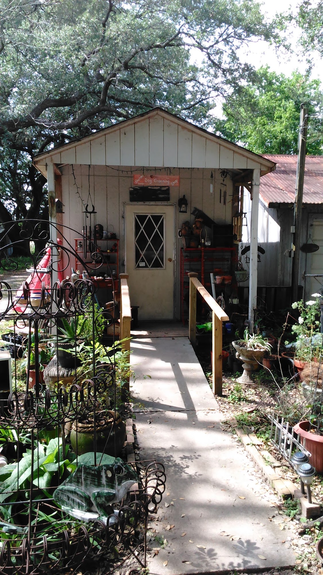 Sharon's Dog Grooming Shop Alvin