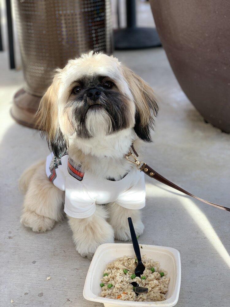 Groom Buddies Cedar Hill