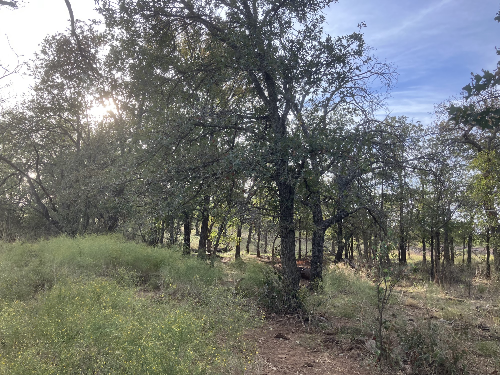 Trinity Ranch Land Real Estate 225 SW Fifth St, Cross Plains Texas 76443