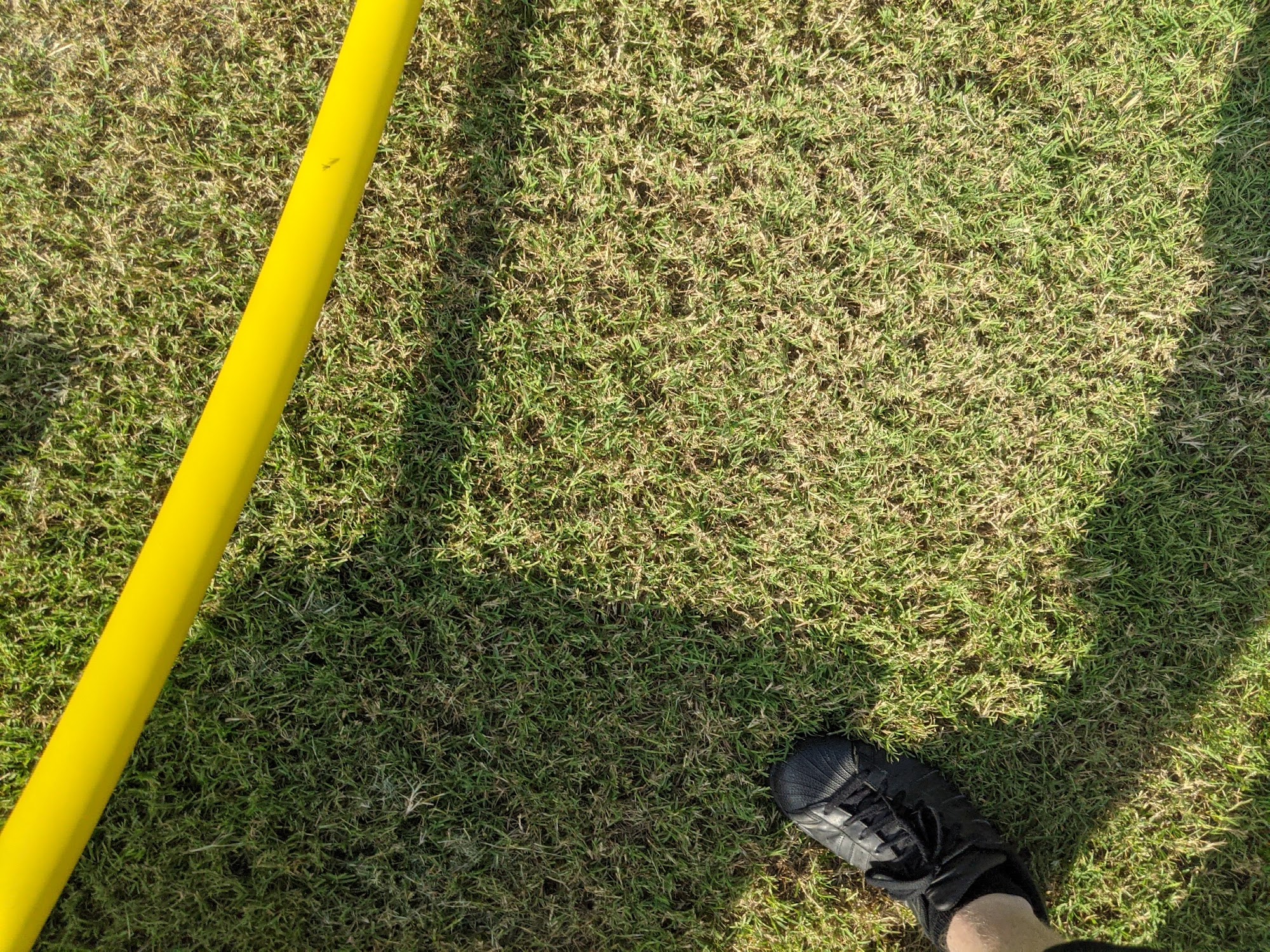 City of Forney Animal Shelter Forney