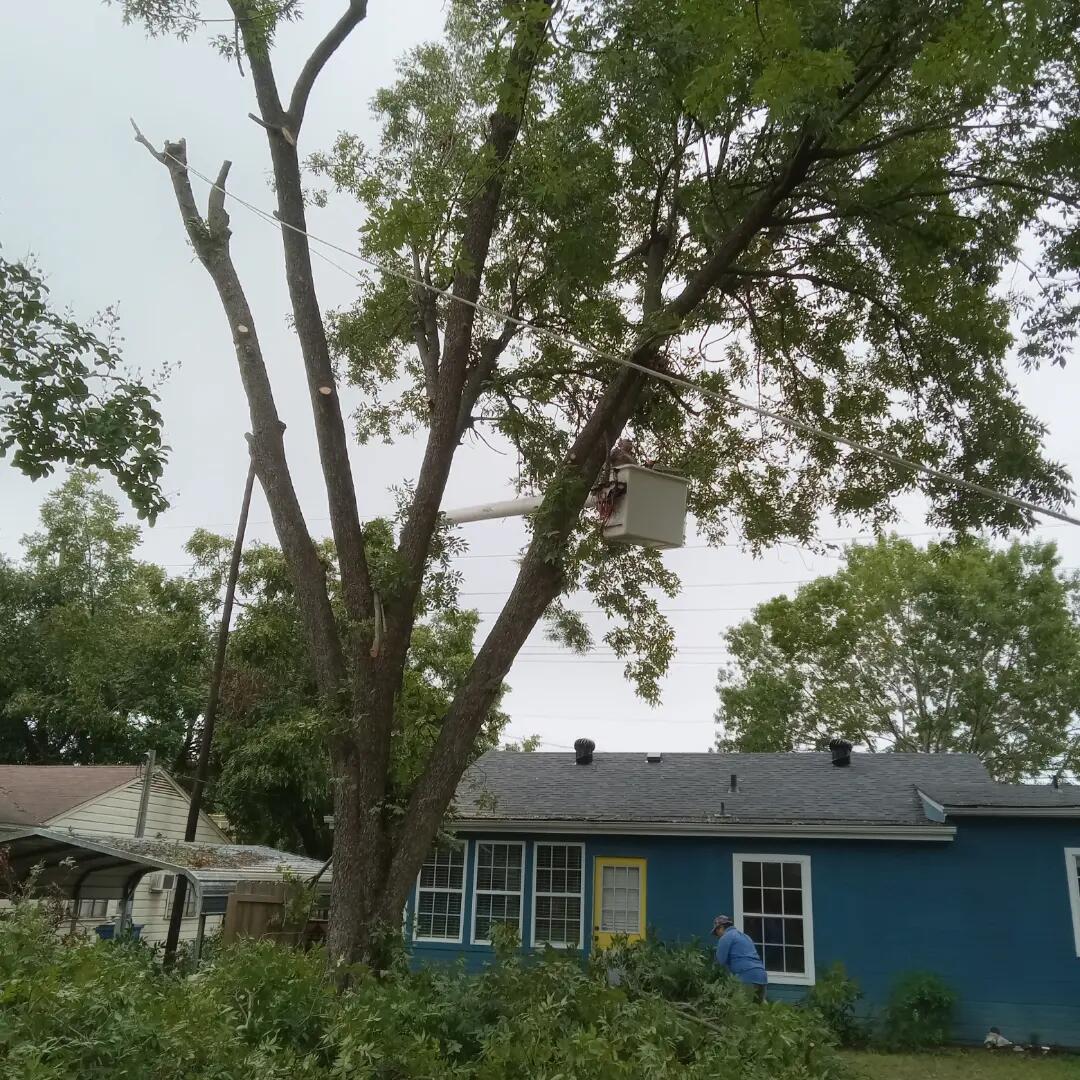 Photo credit: nextdoor