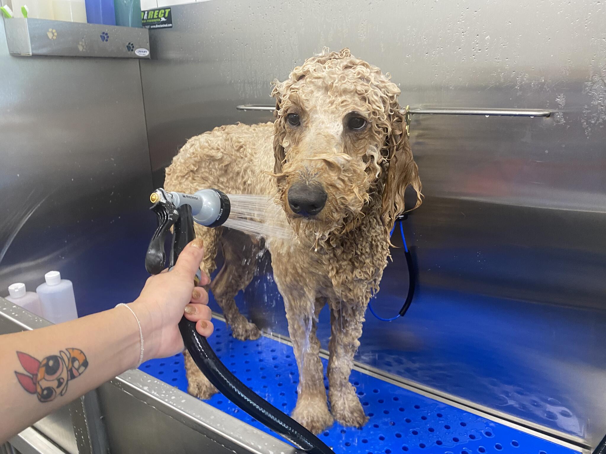 Photo credit: nextdoor