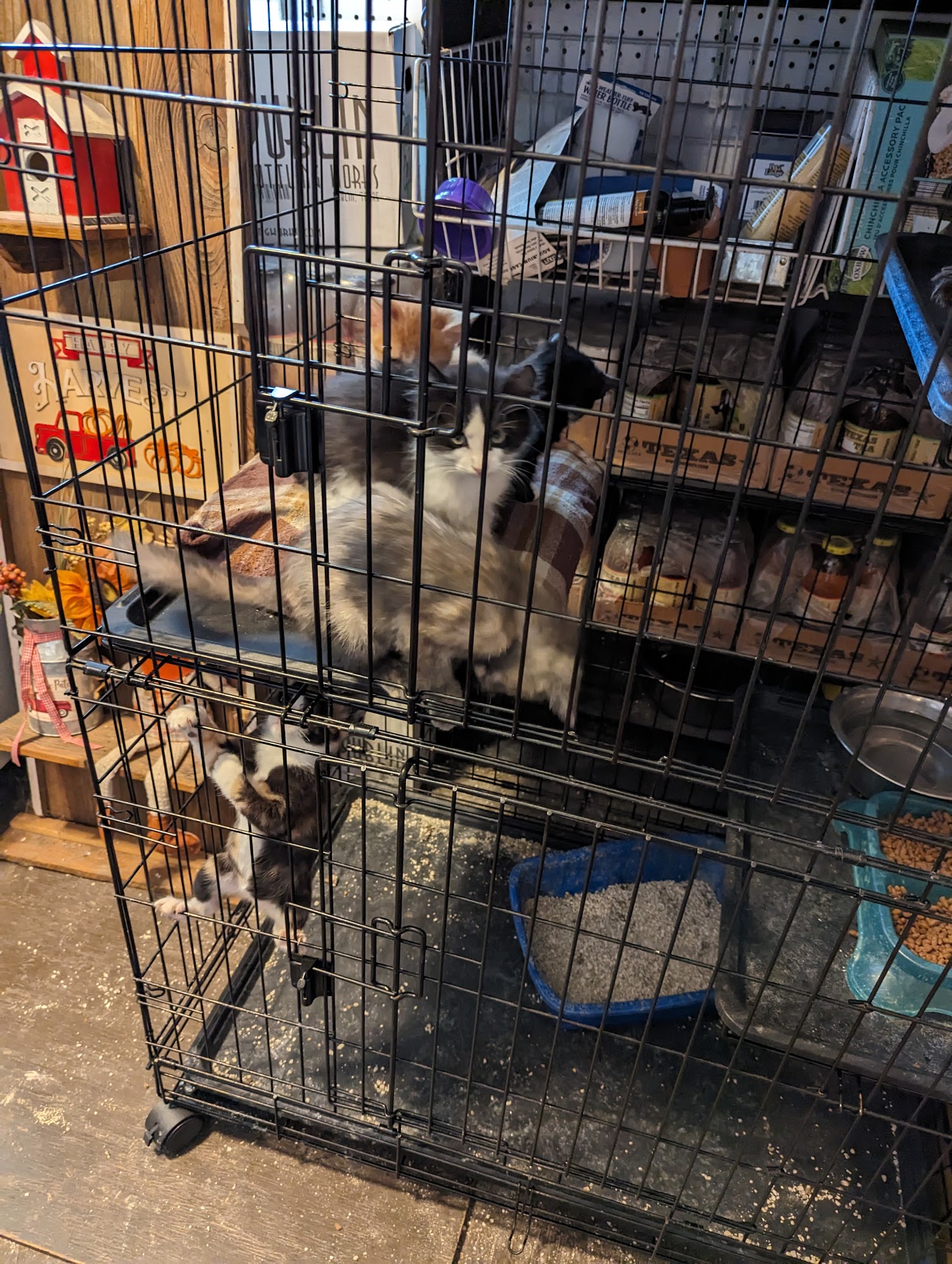 La Porte Feed & Supply La Porte