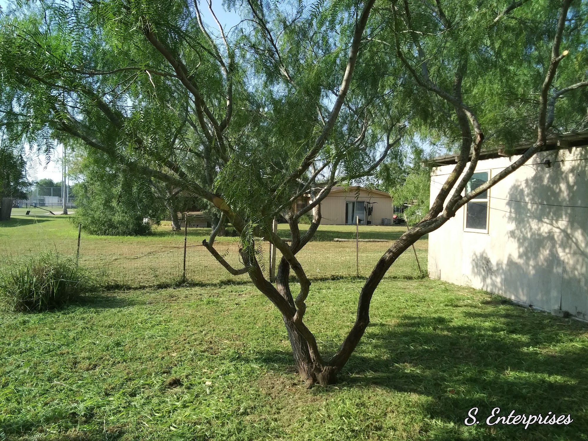 Gonzalo's Lawn Service 32876 Cactus Rd, Los Fresnos Texas 78566