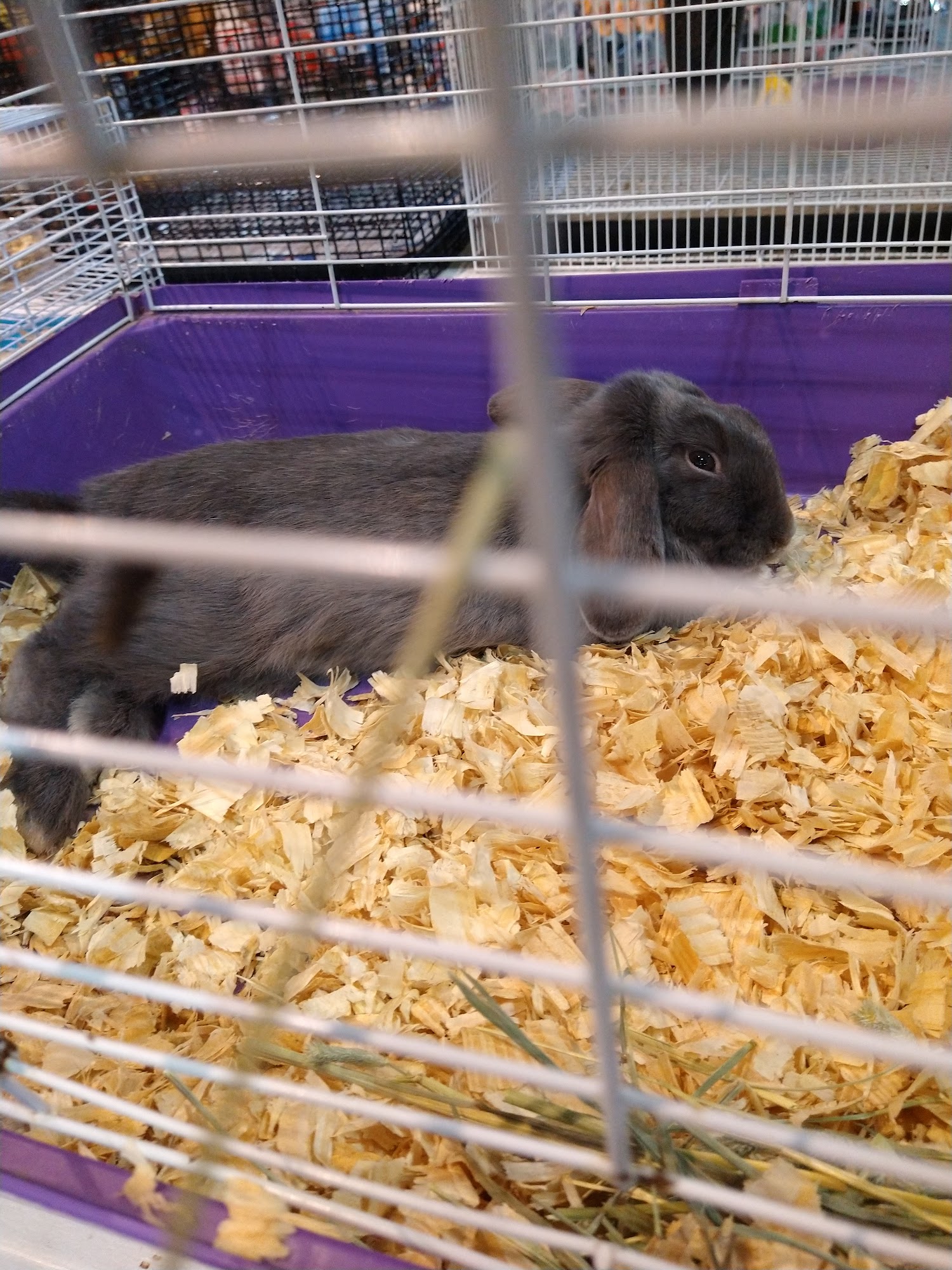 Exotic Tropical Petworld Mcallen