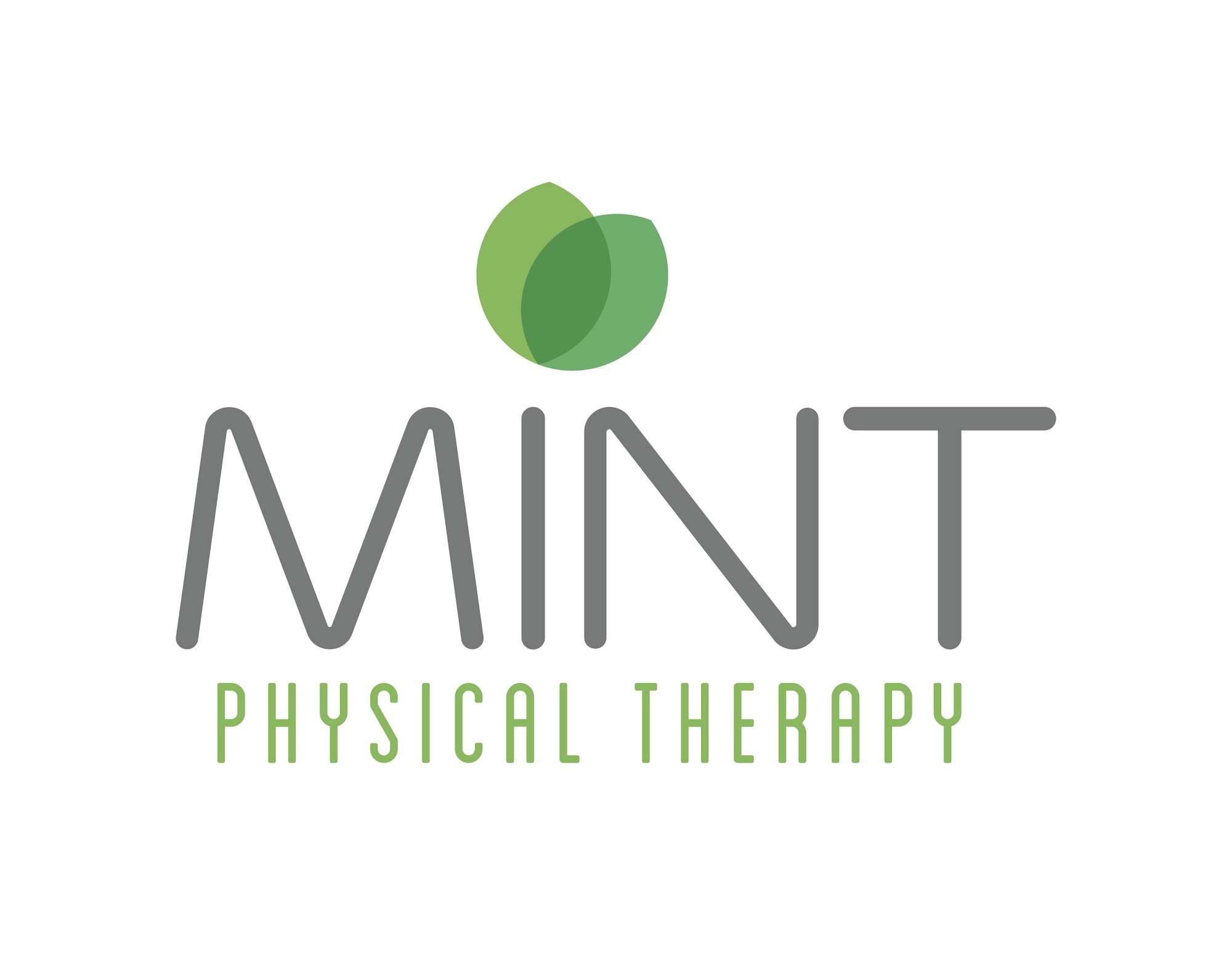 MINT Physical Therapy 19851 TX-46 Ste. 107, Spring Branch Texas 78070