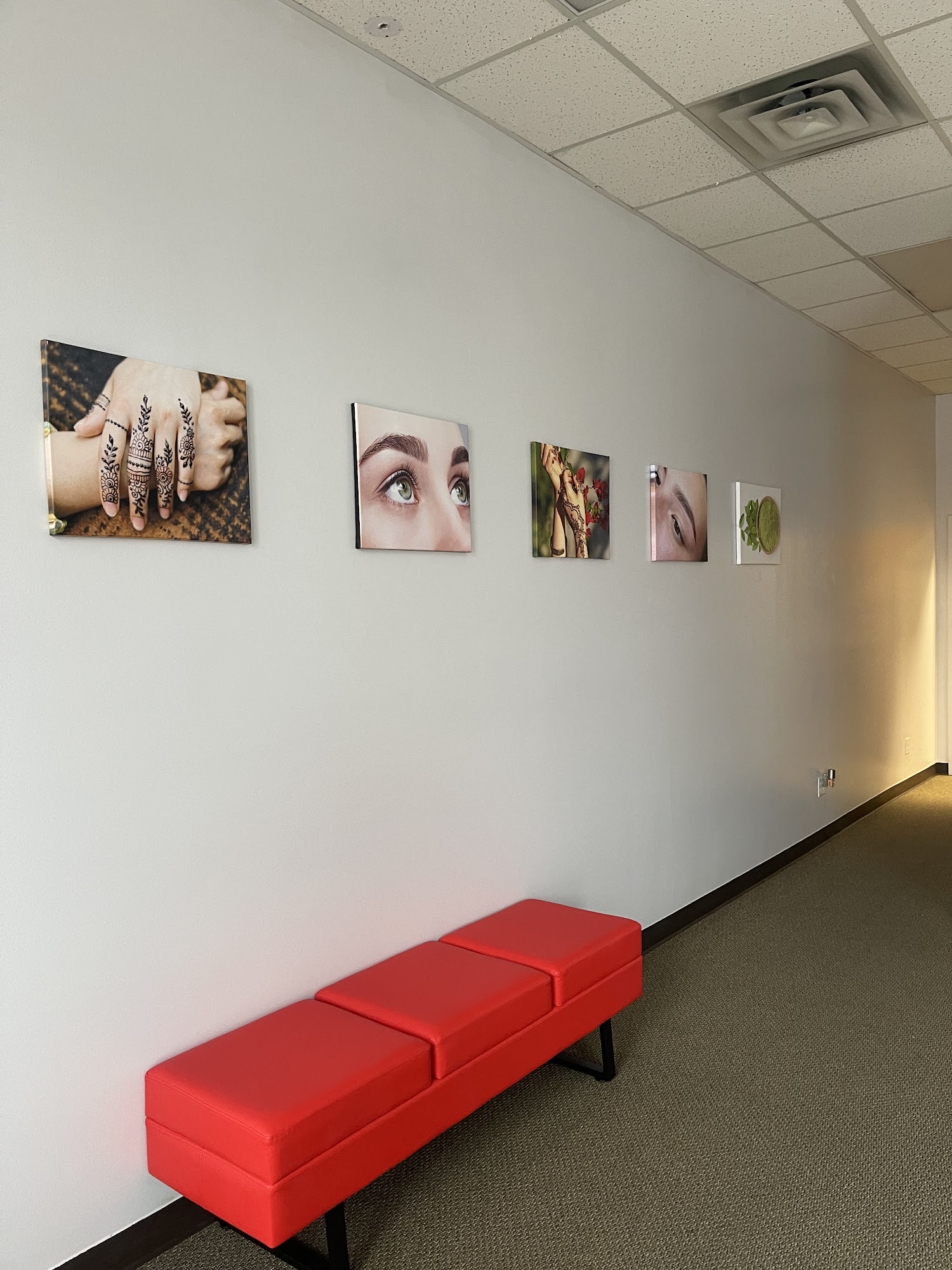 My Brow American Fork