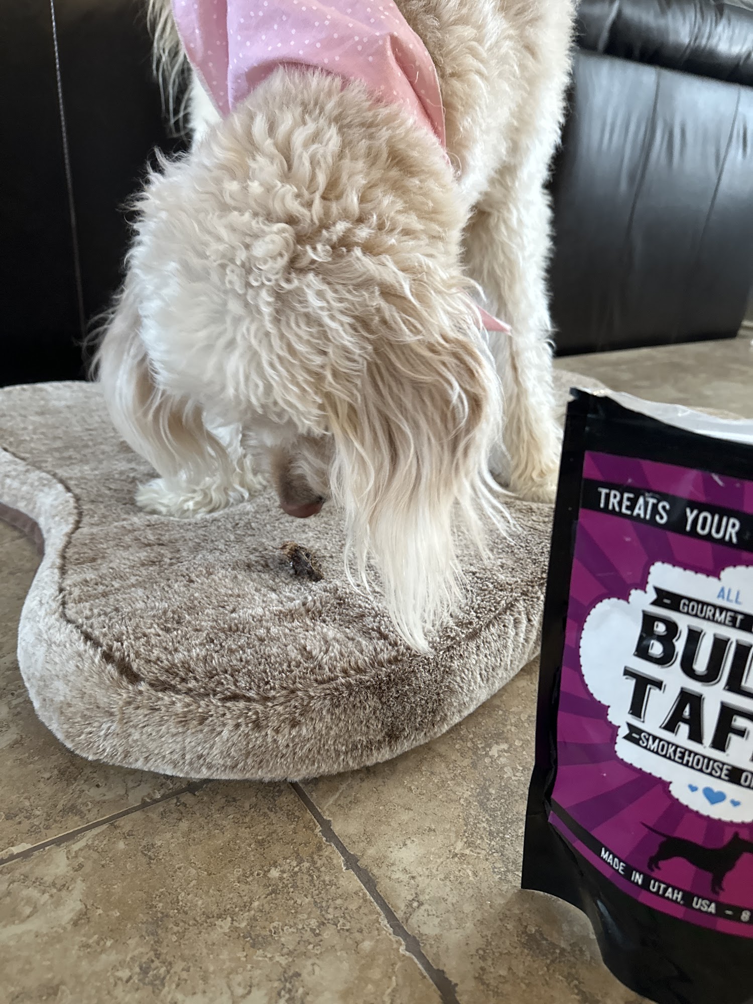 All American Bully Boy Pet Products Bluffdale