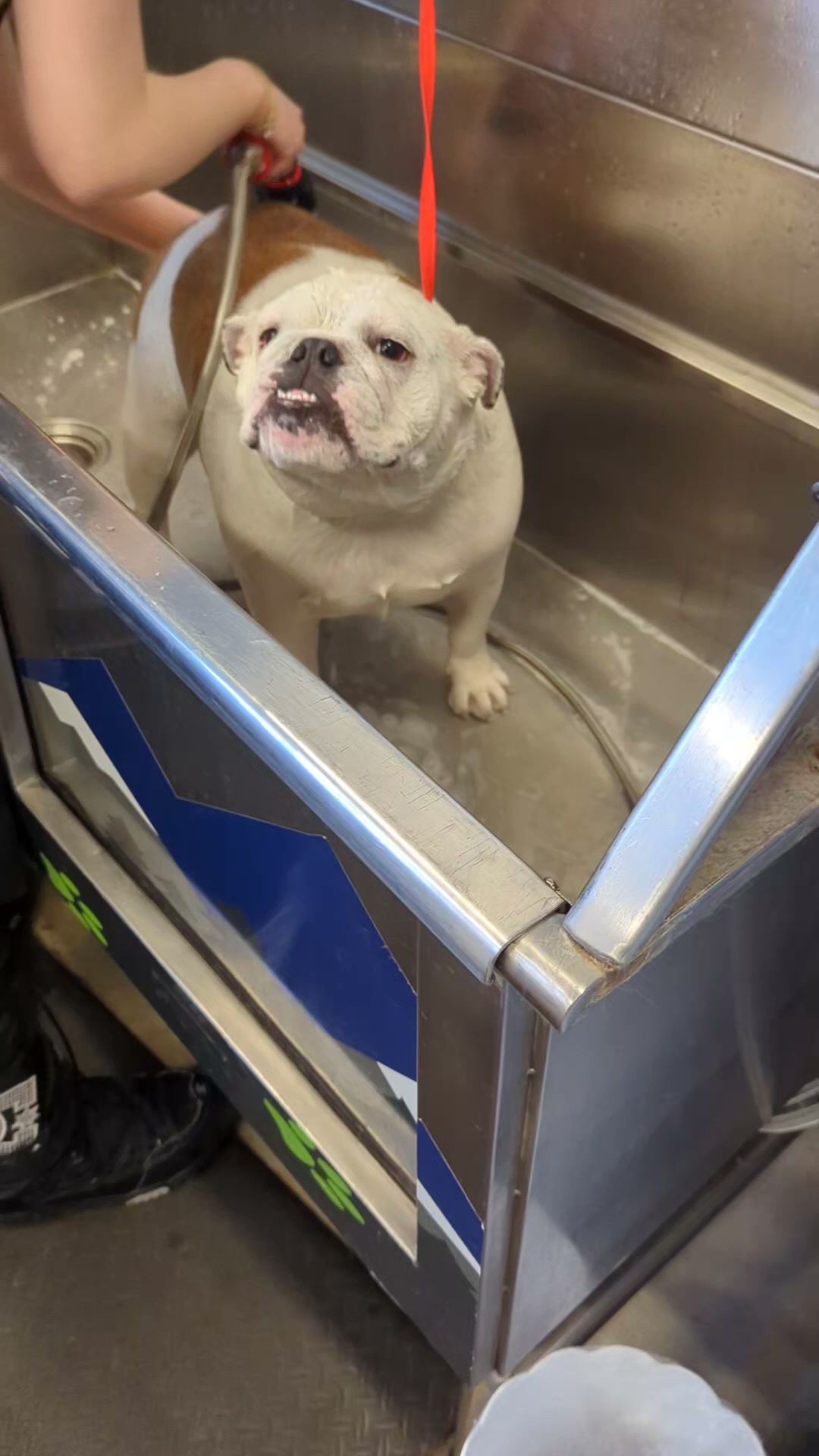 Healthy Pets Mountain West Cottonwood Heights