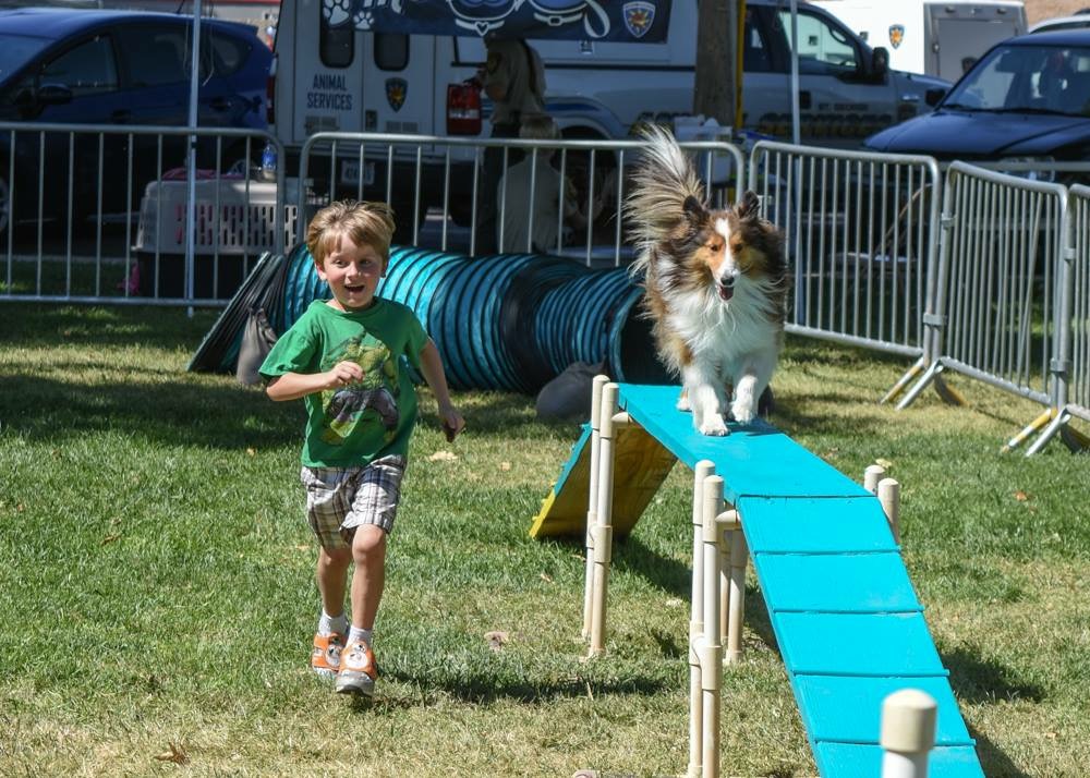 Because Animals Matter — That BAM Place Hurricane