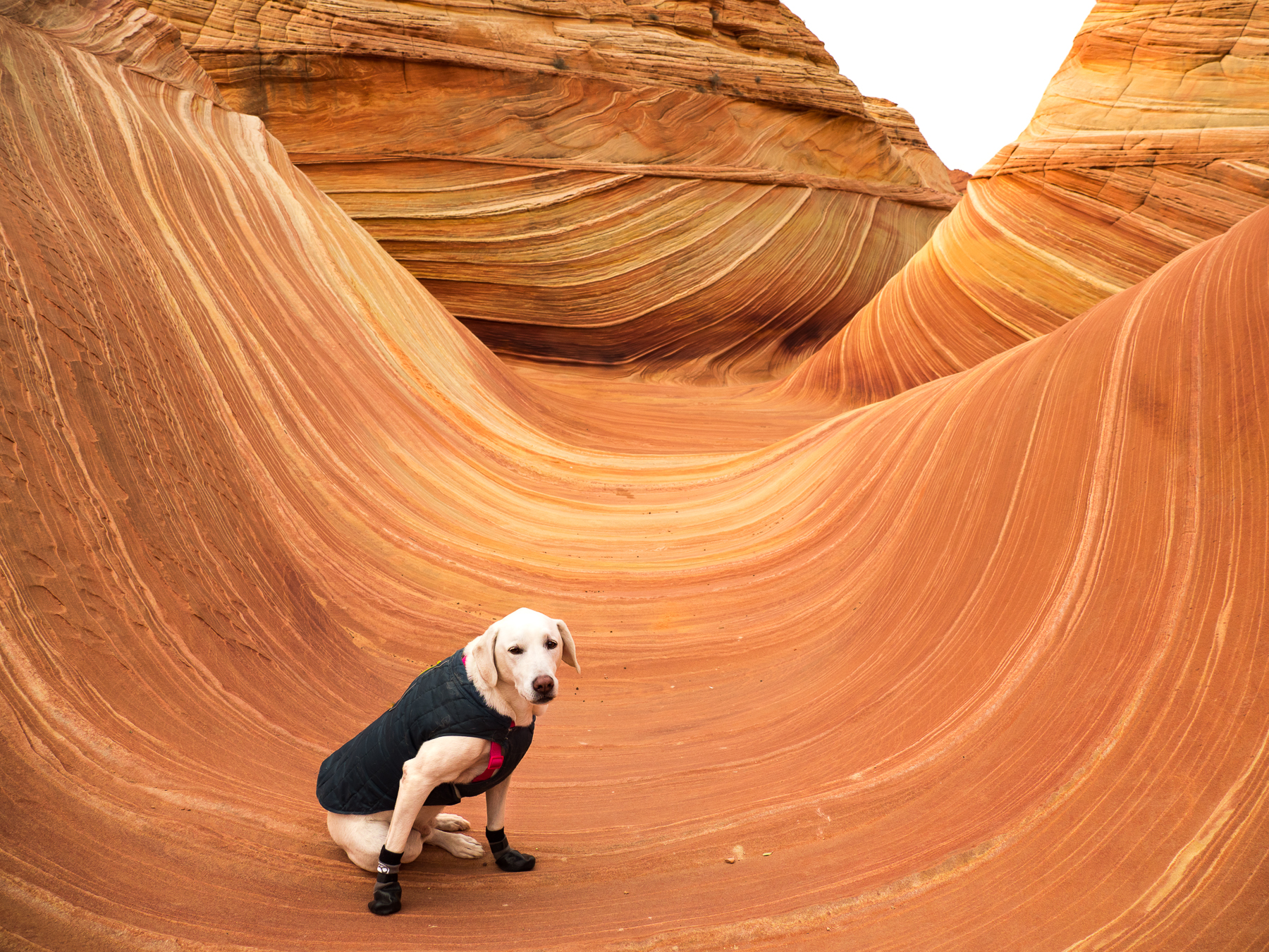 Critter Corner Kanab