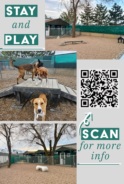 Idlewire Pet Care South Ogden