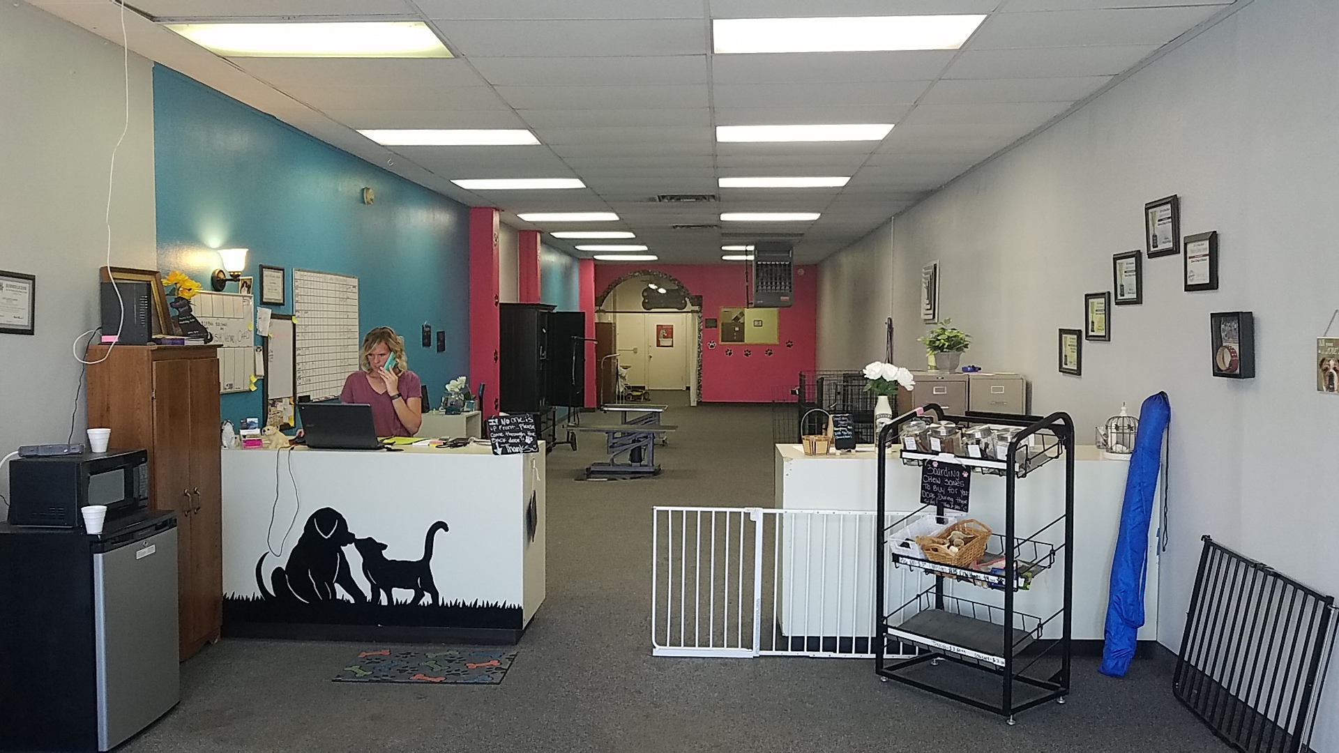 Give A Dog A Bone Vernal