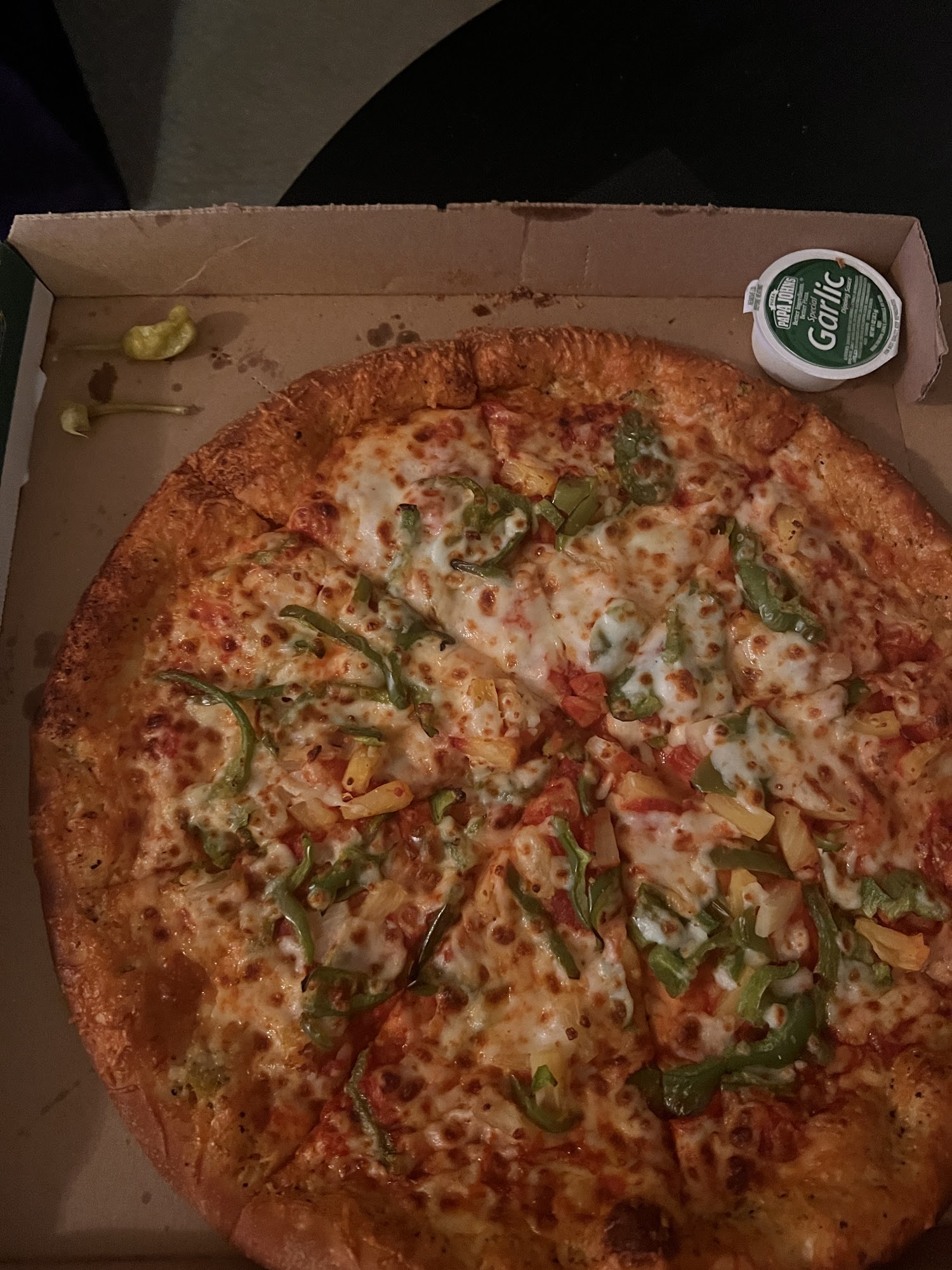 Papa Johns Pizza