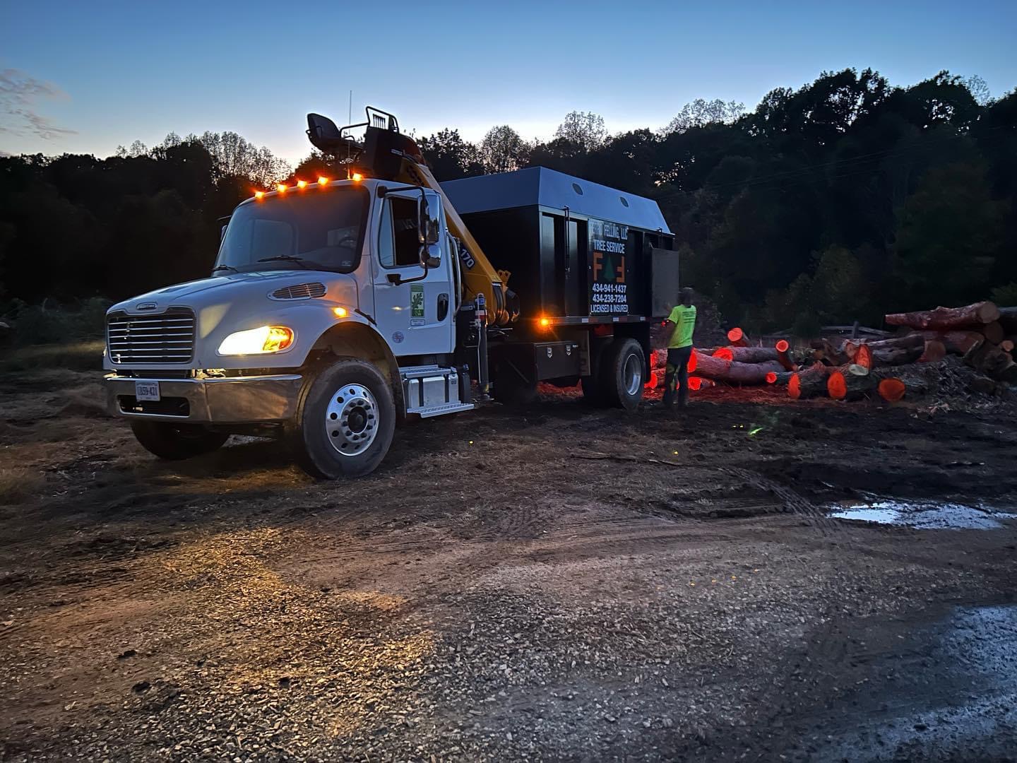 Ferro Felling Tree Service 258 Bryant Hollow Rd, Amherst Virginia 24521