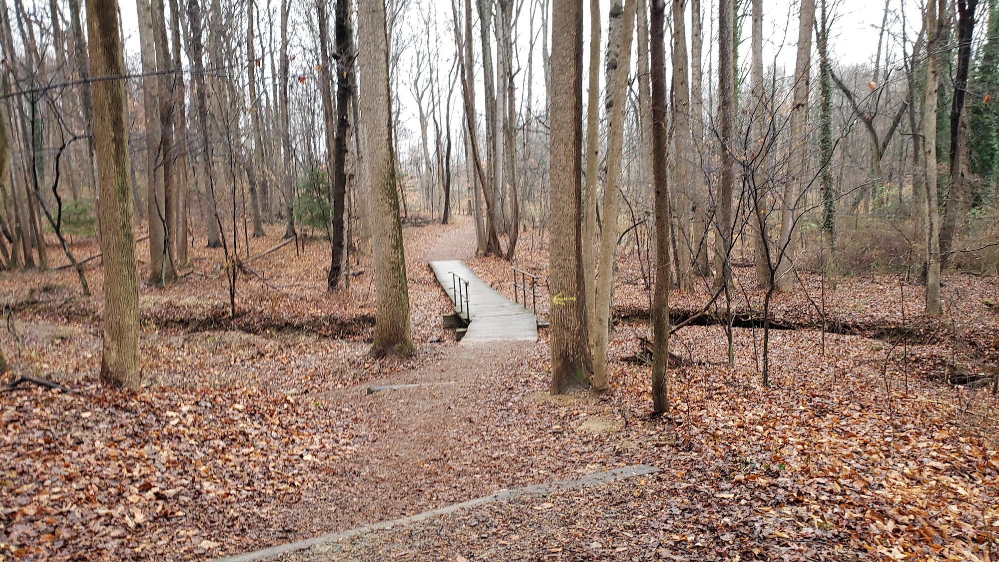 Mason District Off-Leash Dog Park Annandale