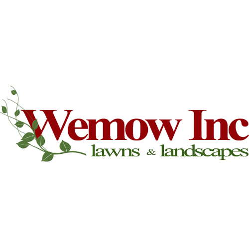 Wemow Inc
