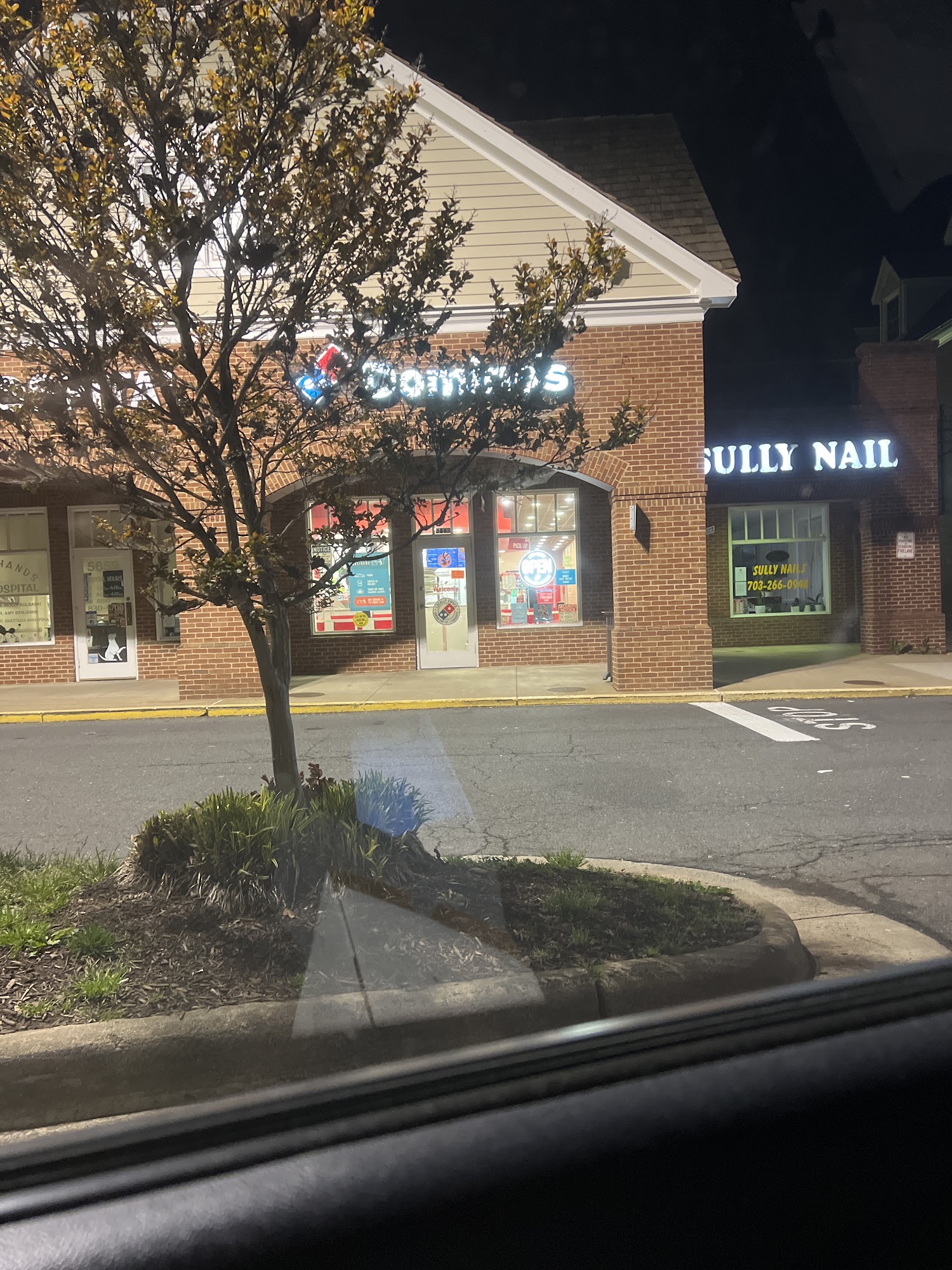 Domino's Pizza