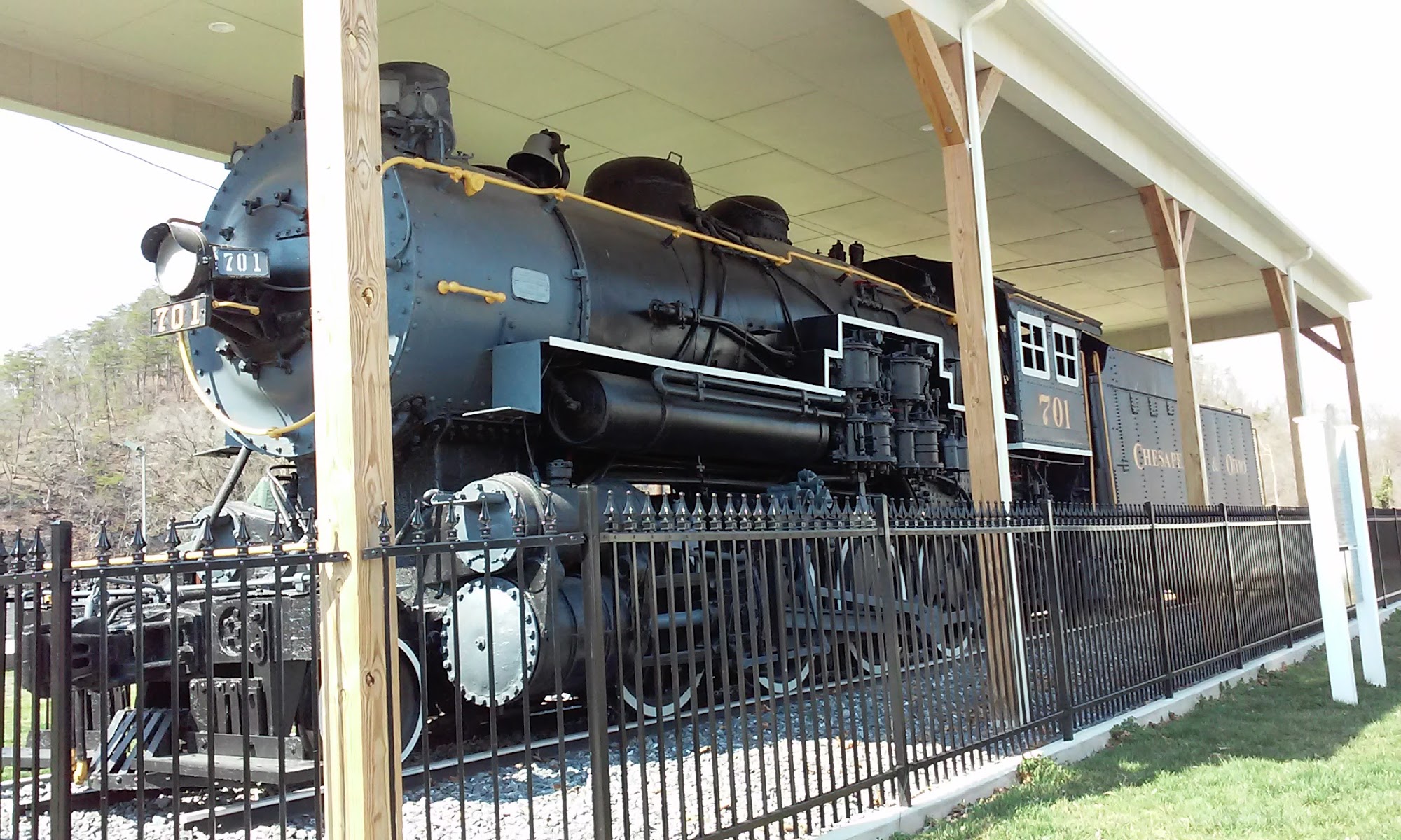 Pampered Pets Covington