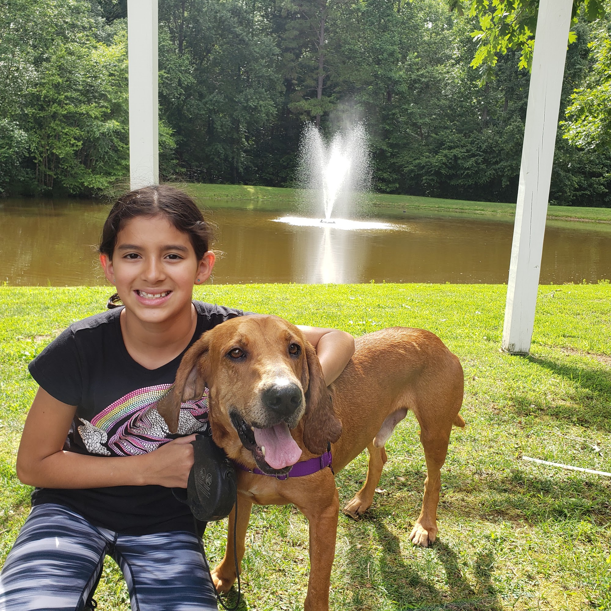 Fredericksburg SPCA Fredericksburg