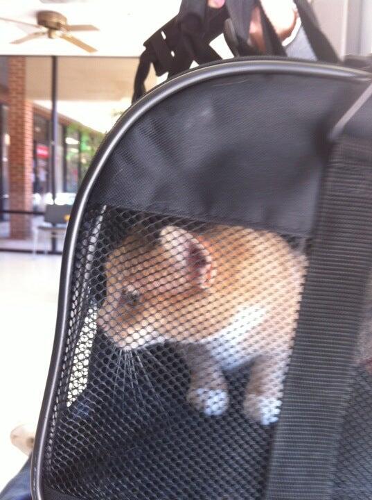 Photo credit: nextdoor