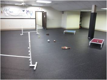 Old Dominion Animal Health Center McLean