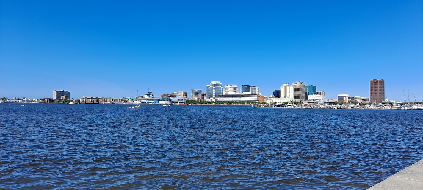 Amicy Multimedia and Marketing Group L.L.C.