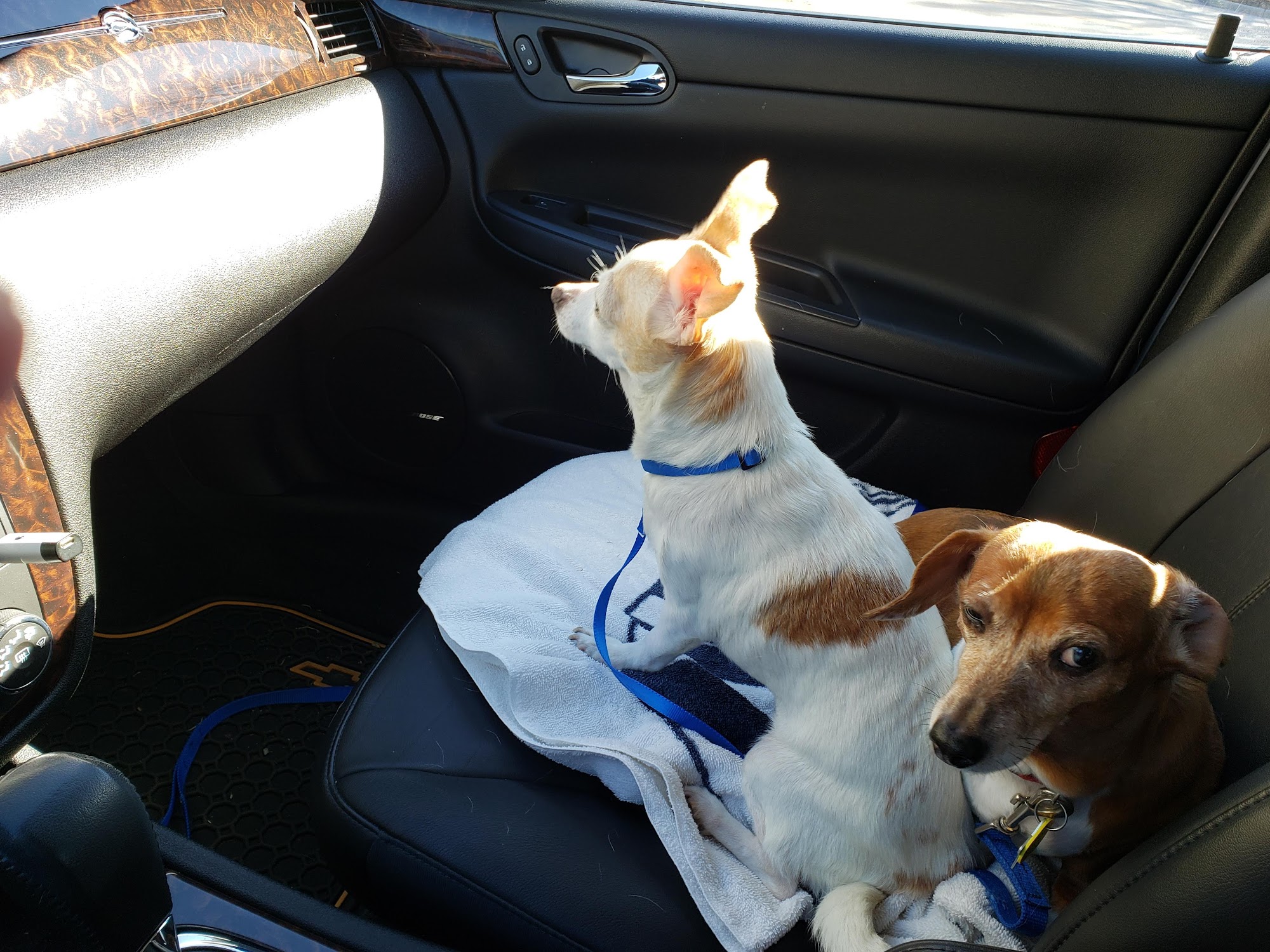 Biscuits & Bubbles Salem