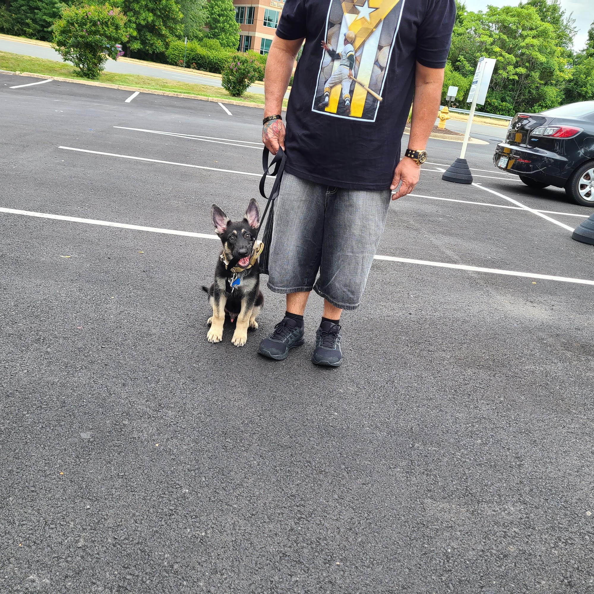 Woodbridge Animal Hospital: Moore Kara DVM Woodbridge