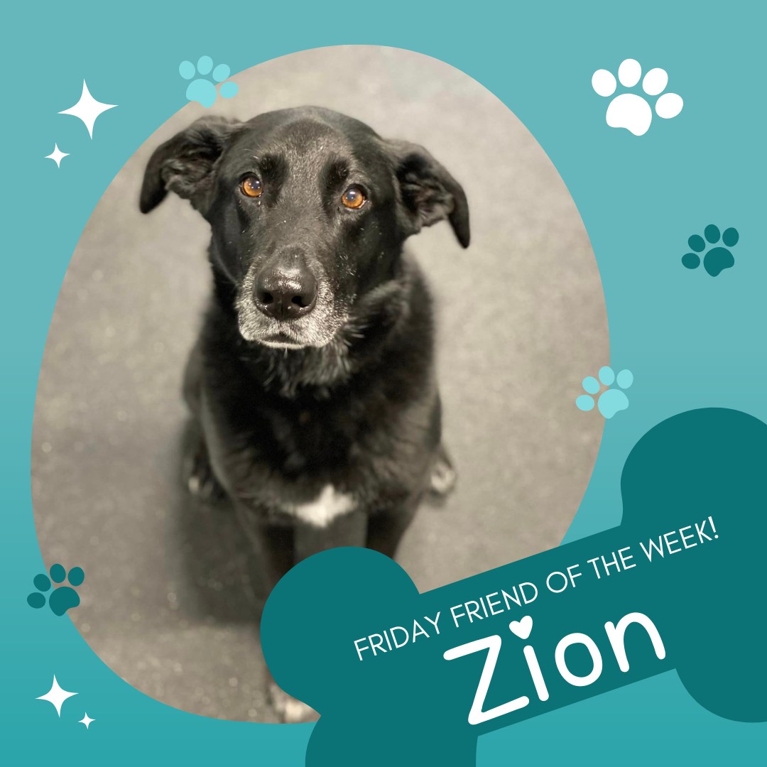 The Bed and Biscuit Enosburg Falls