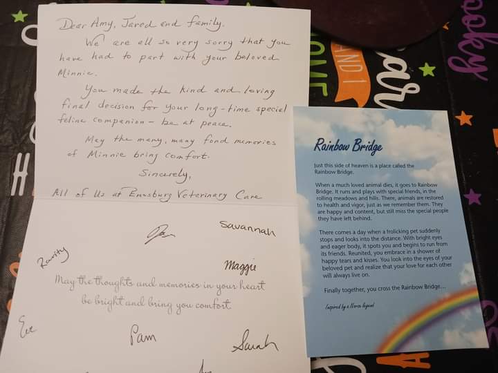 Enosburg Veterinary Care, LLC Enosburg Falls