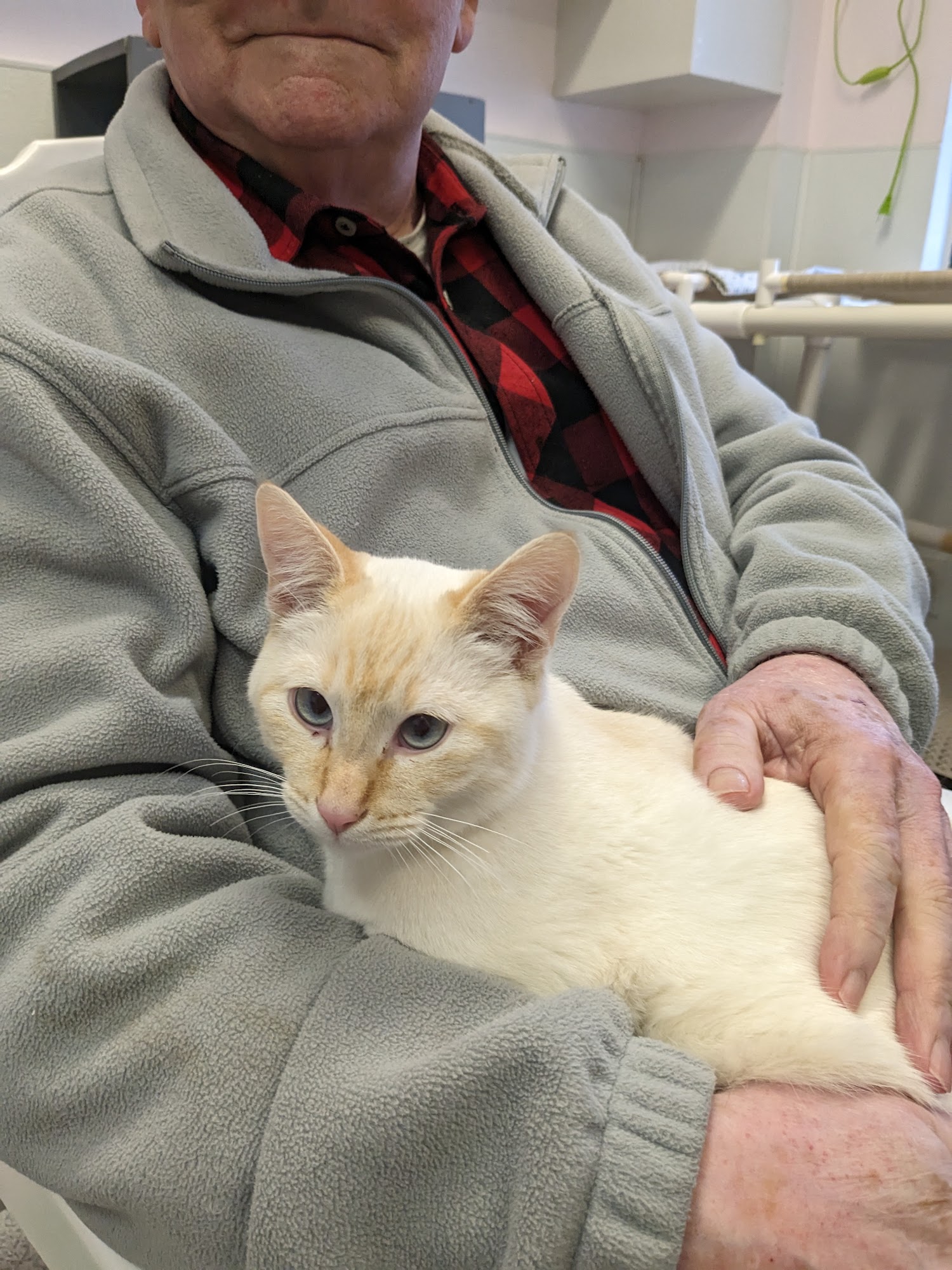 Kitty Korner Longview