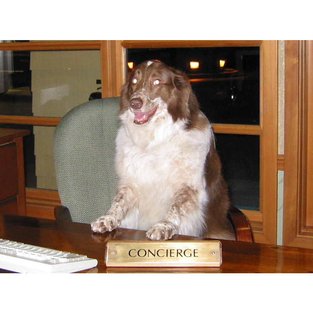 Le Pet Concierge Renton