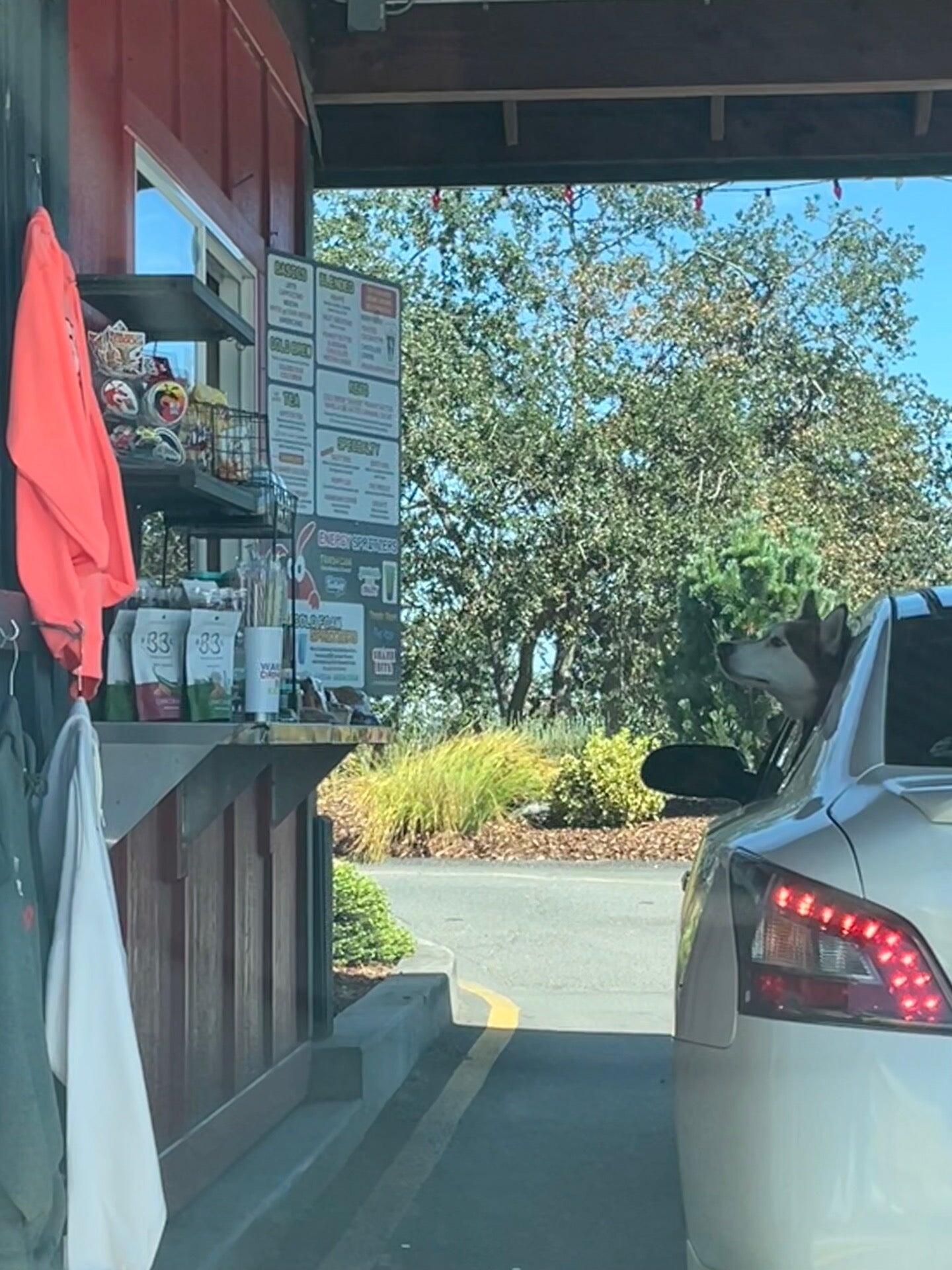 Photo credit: nextdoor