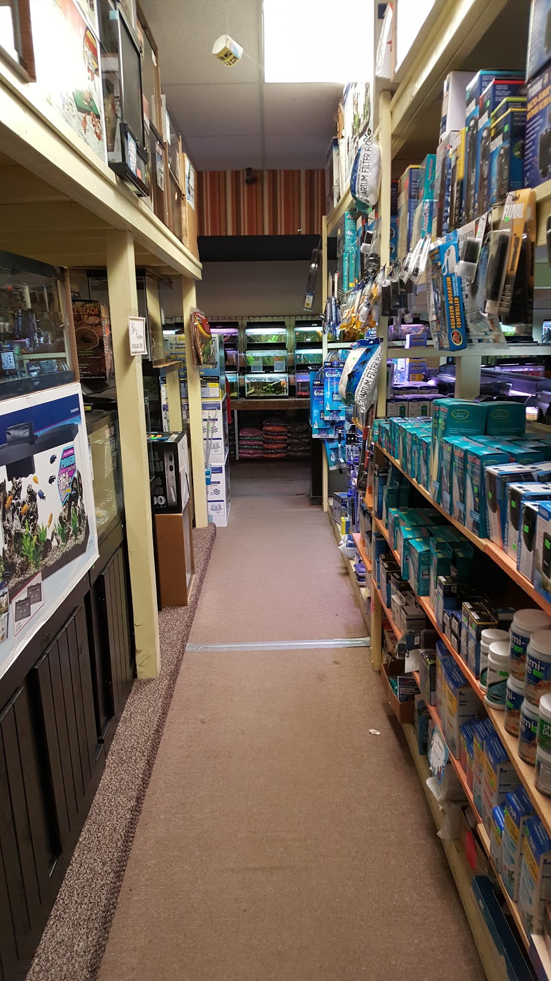 City Zoo Pet Center Walla Walla