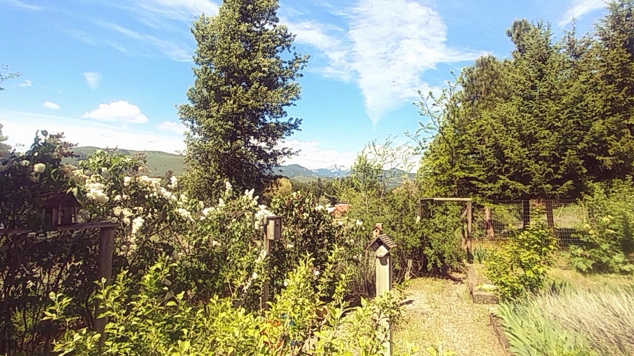 Modern Mountain Homes