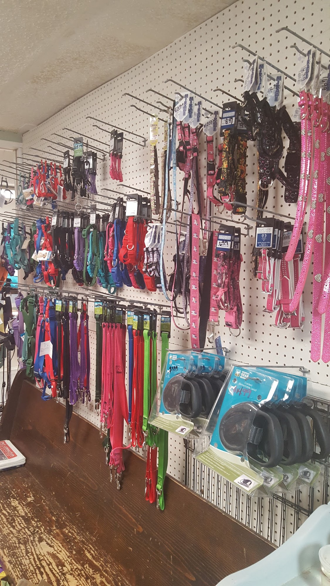 Carrie's Critters Yelm