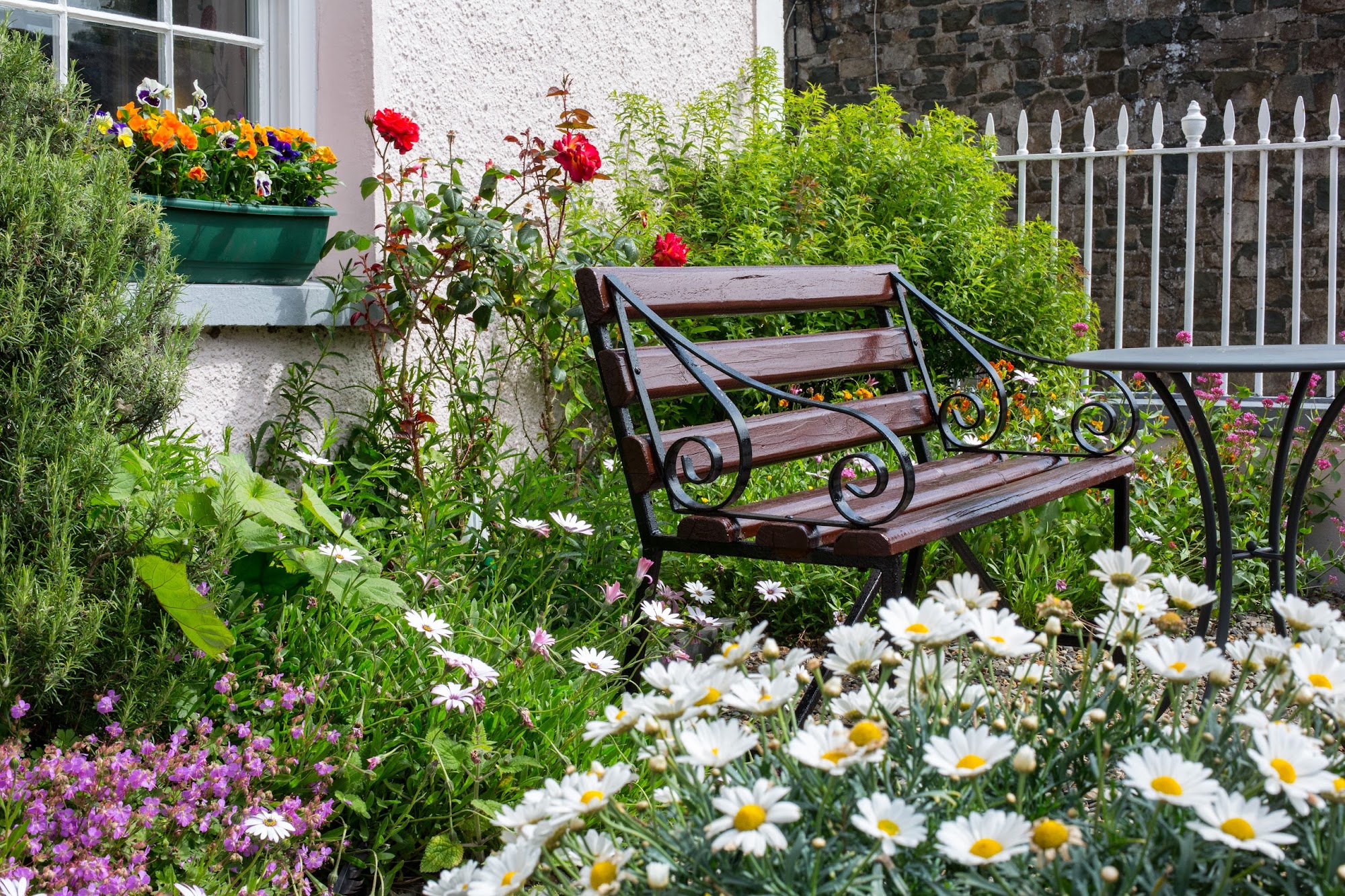 Cnapan Guest House - Bed and Breakfast Newport Pembrokeshire East St, Newport