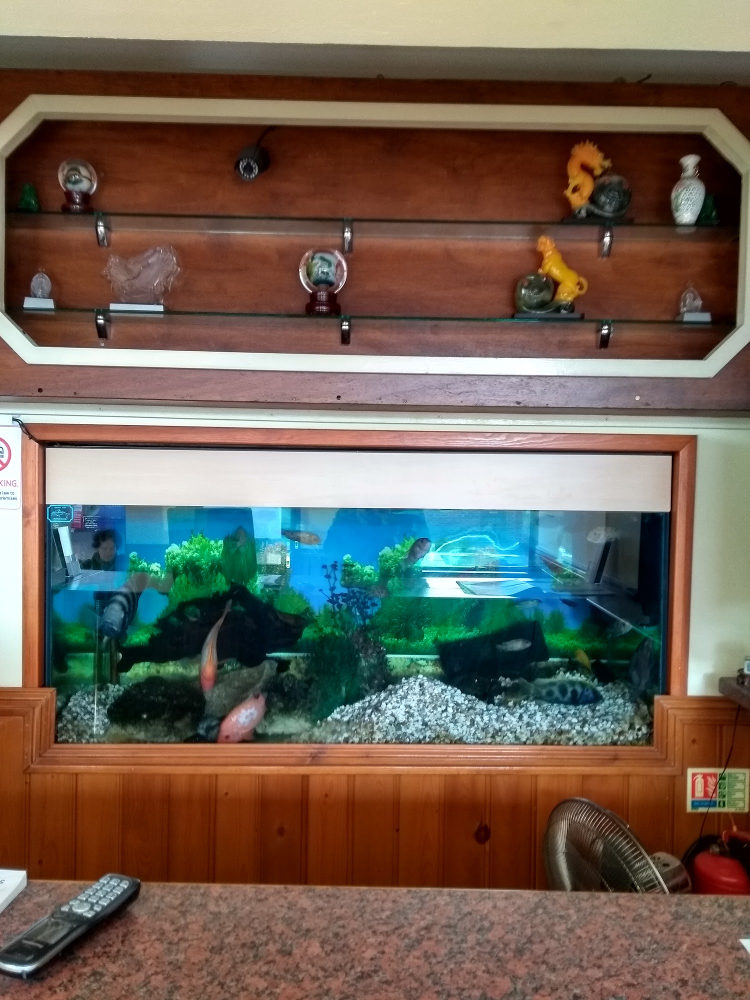 Sun Wah 134 Wick St, Wick, Littlehampton