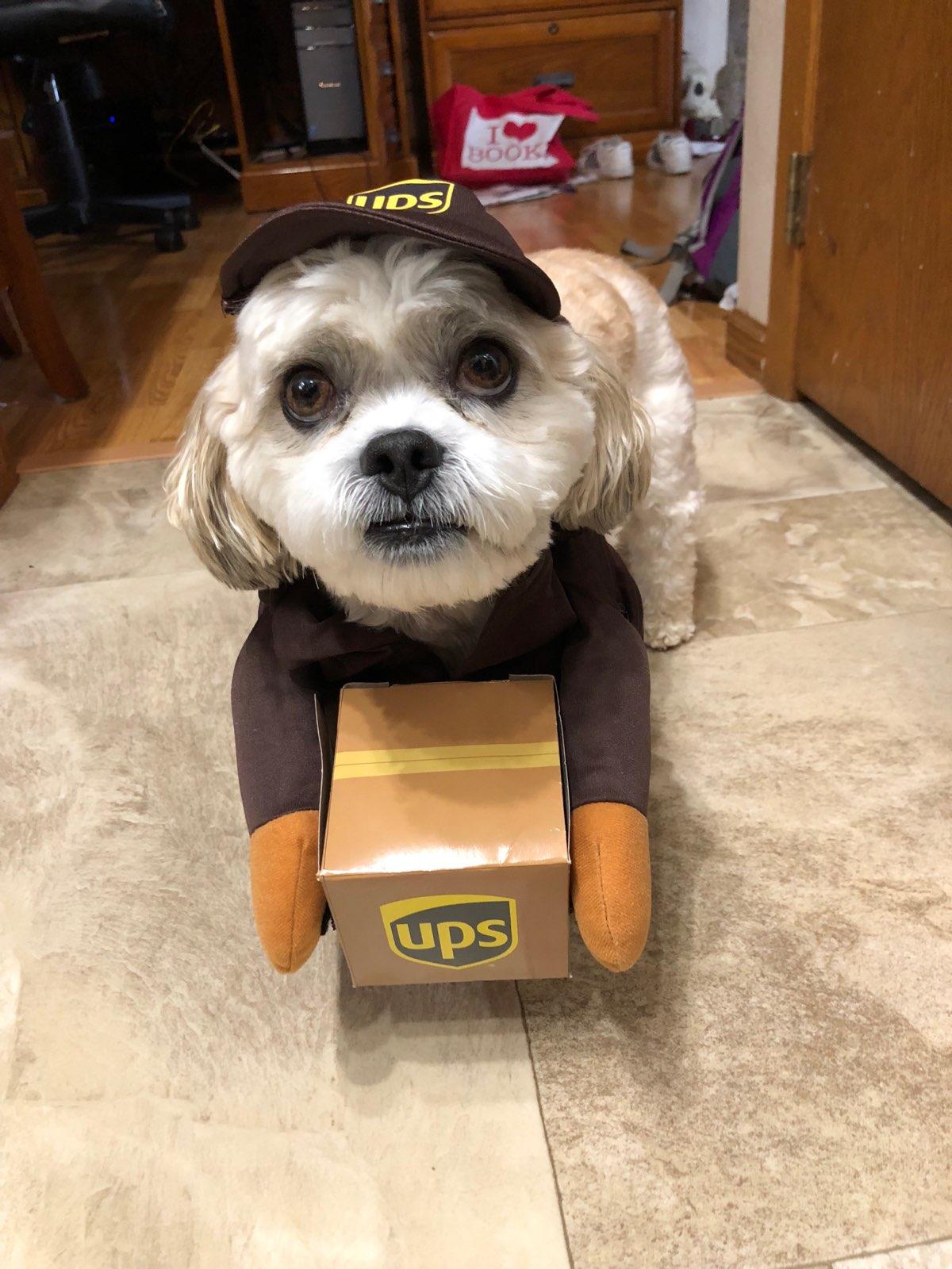 Shear Magic Pet Salon Baldwin