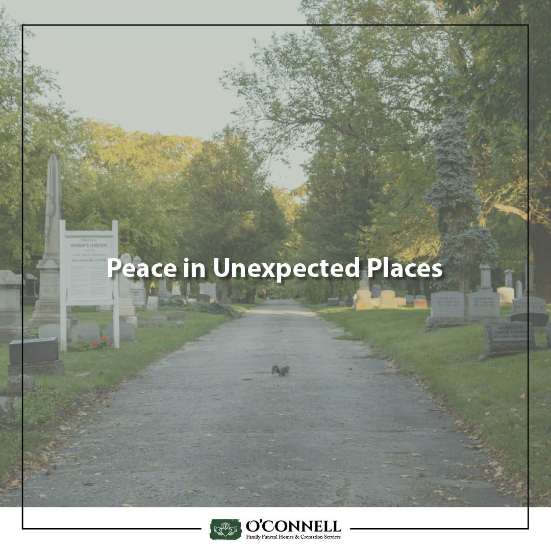 O'Connell Family Funeral Homes & Cremation Services 1010 Newton St, Baldwin Wisconsin 54002