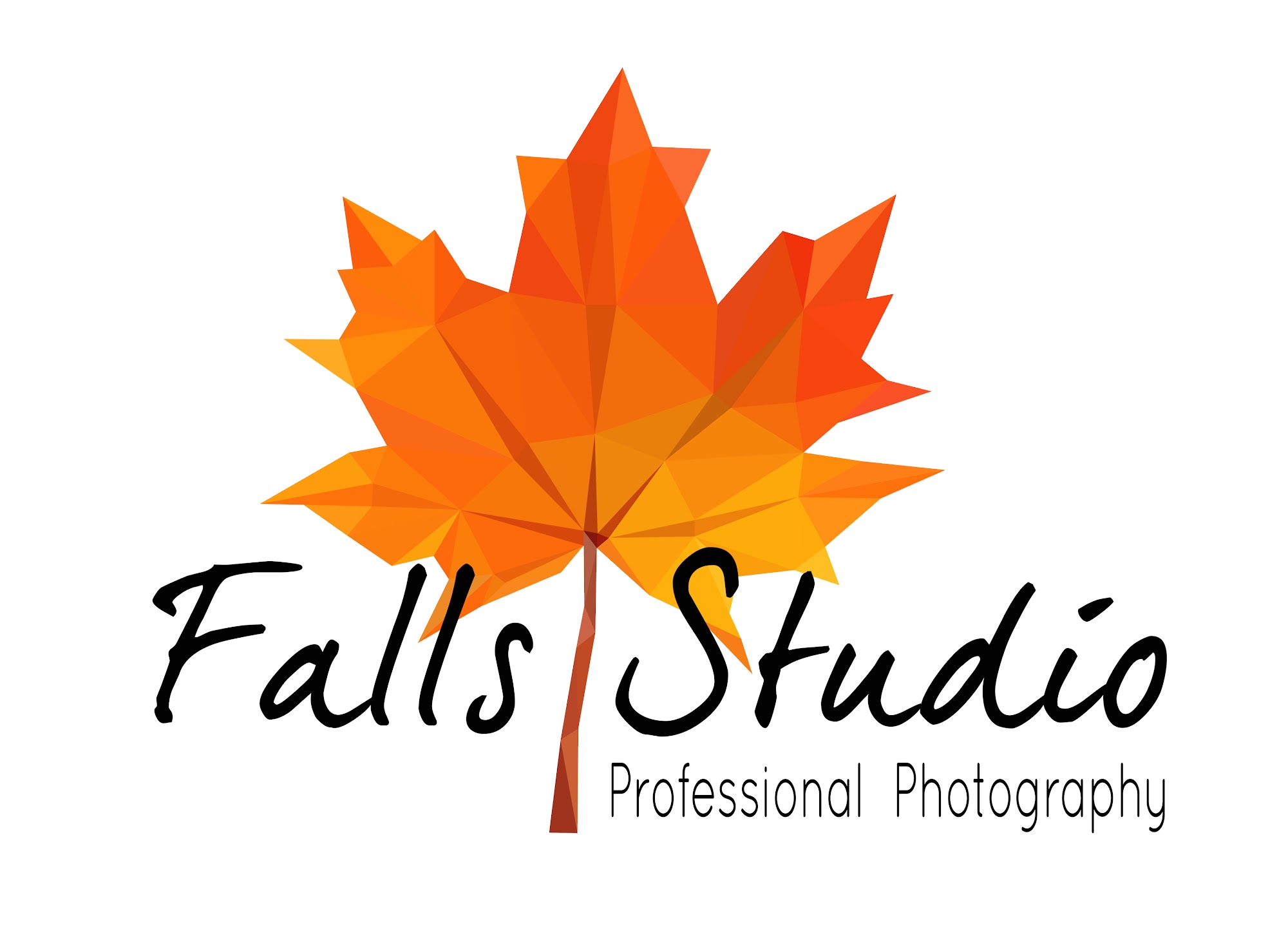 Falls Studio LLC N3692 County Rd H, Black River Falls Wisconsin 54615