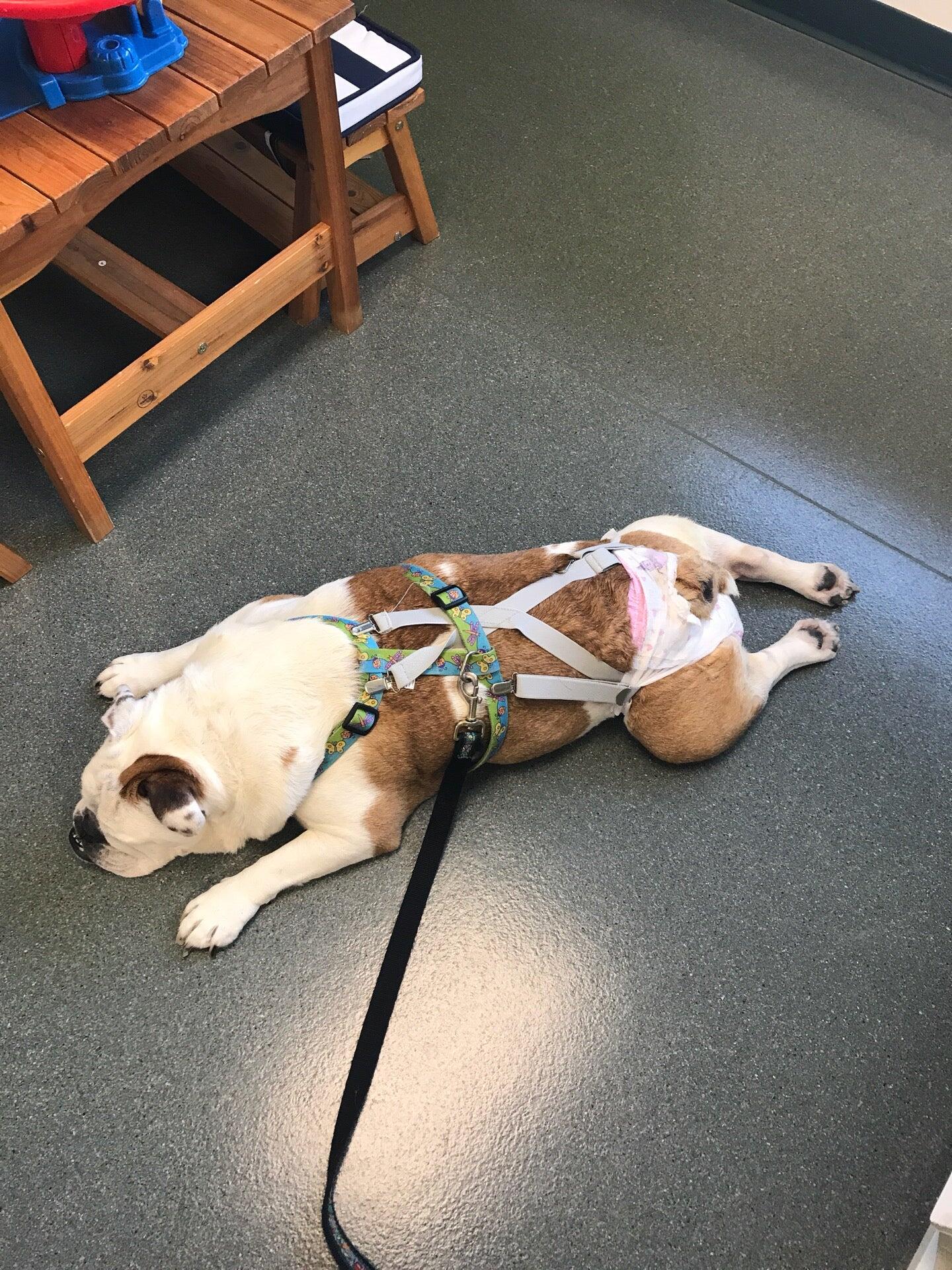 Photo credit: nextdoor