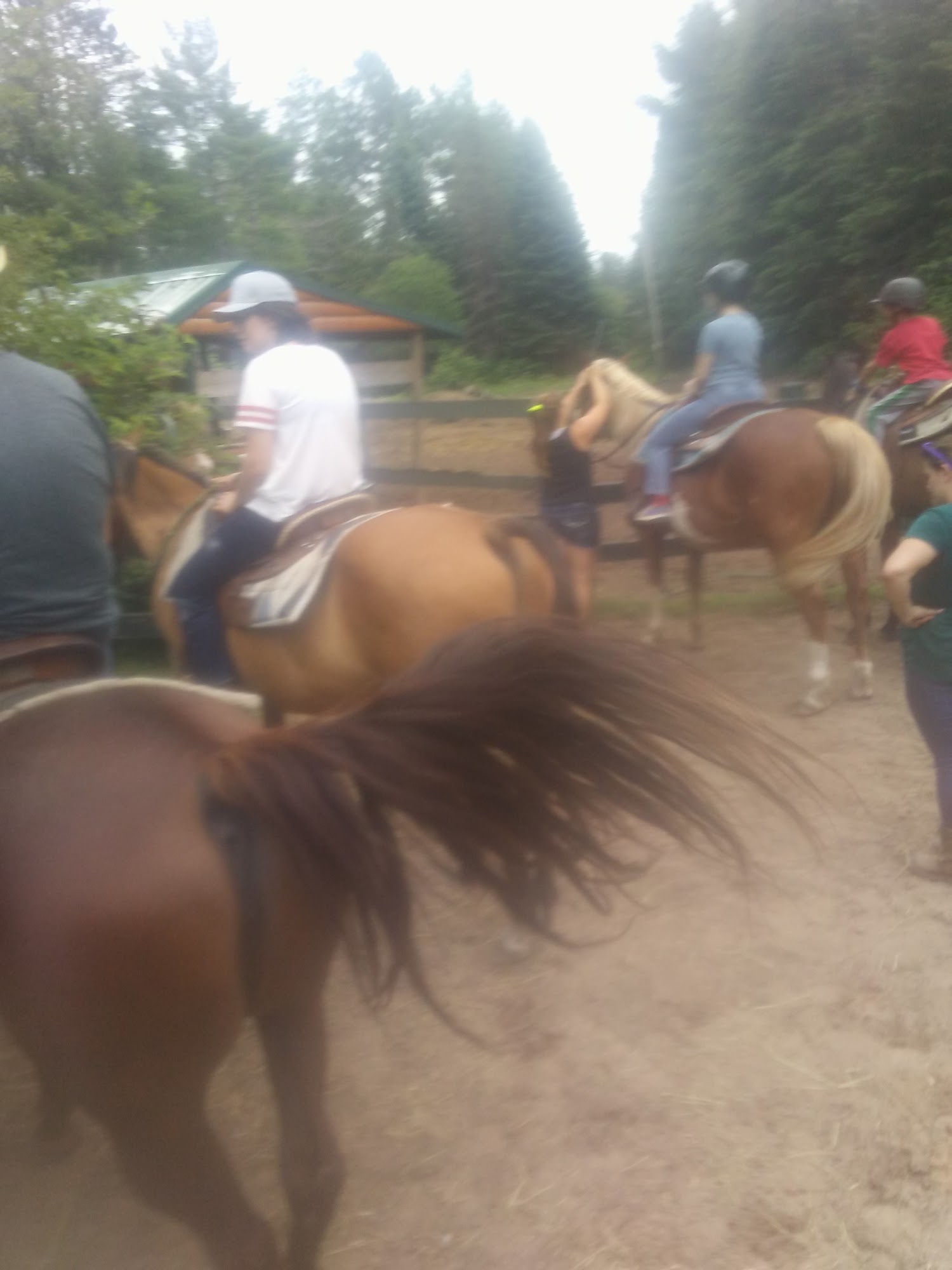 Humane Society of Vilas County Eagle River