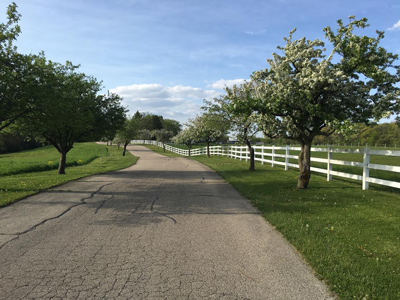 Perfect 10 Boarding, LLC Fort Atkinson
